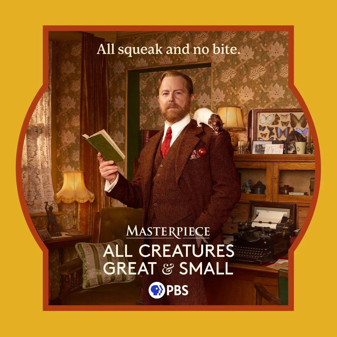 ACGAS_Static Solos-Siegfried-1x1.jpg