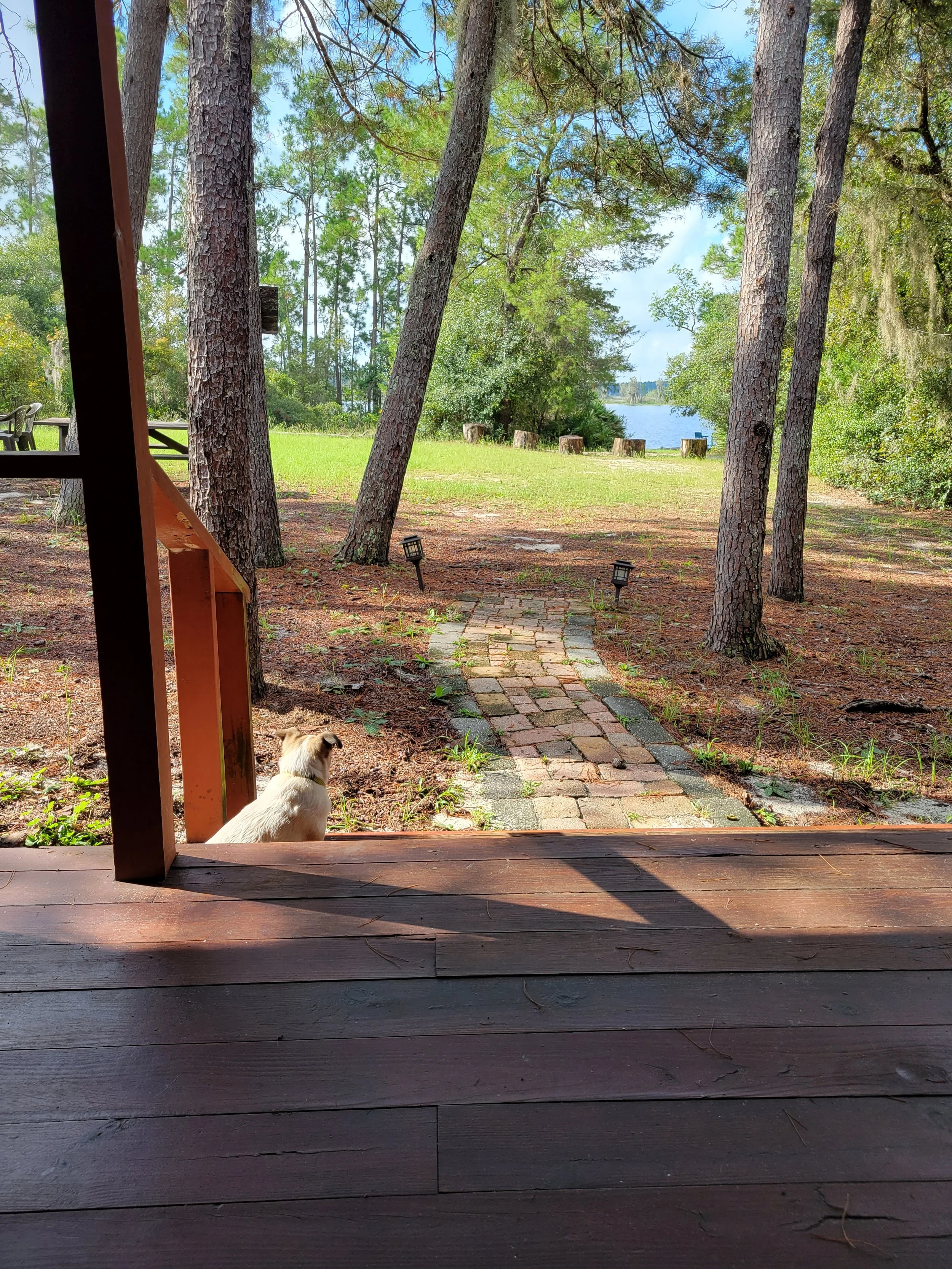 View from a porch looking out onto a yard with a brick path, trees, and a lake in the background. A small dog is sitting near the porch, facing the yard.