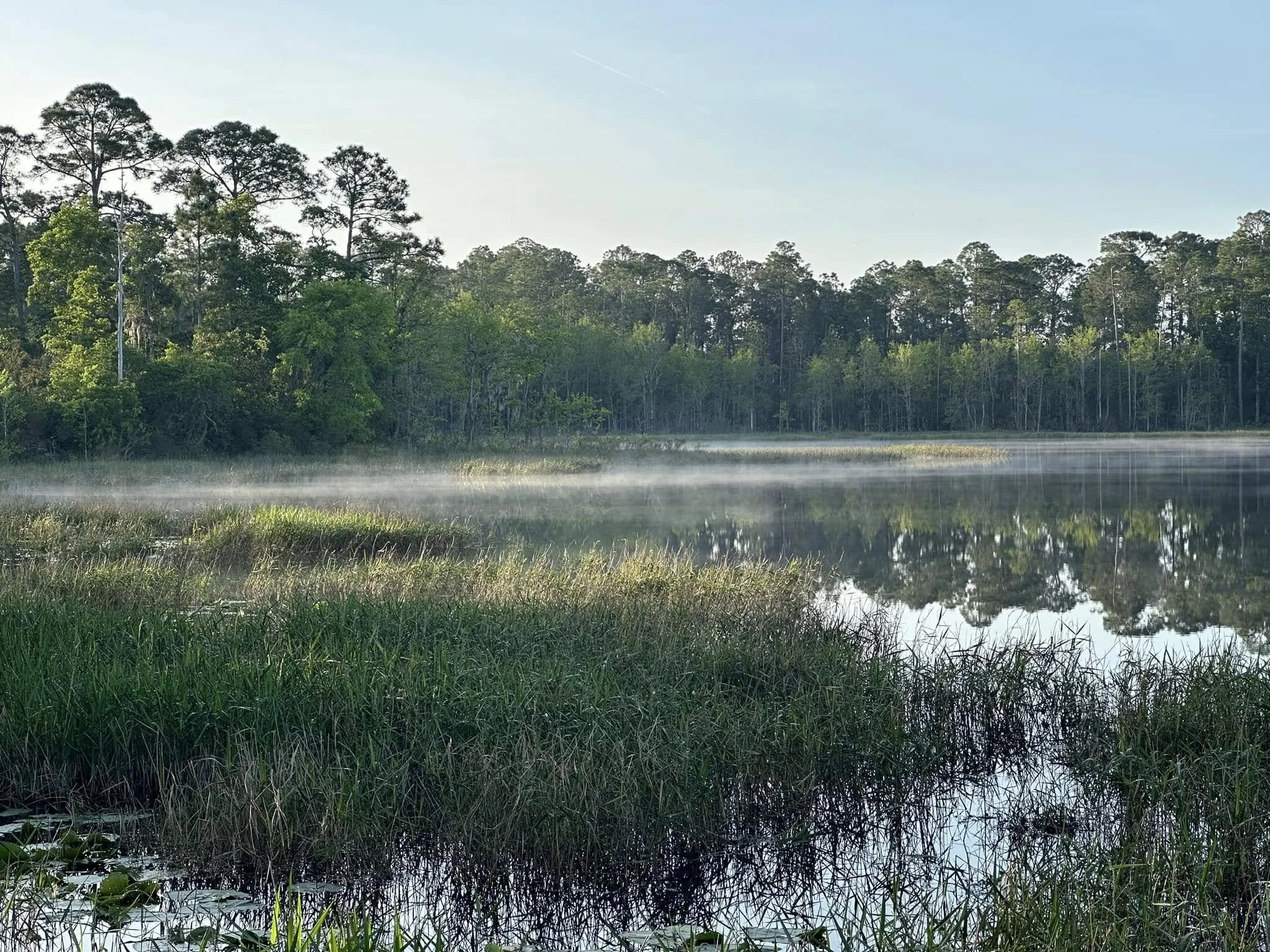 A peaceful lake surrounded by trees with mist rising from the water in the early morning.