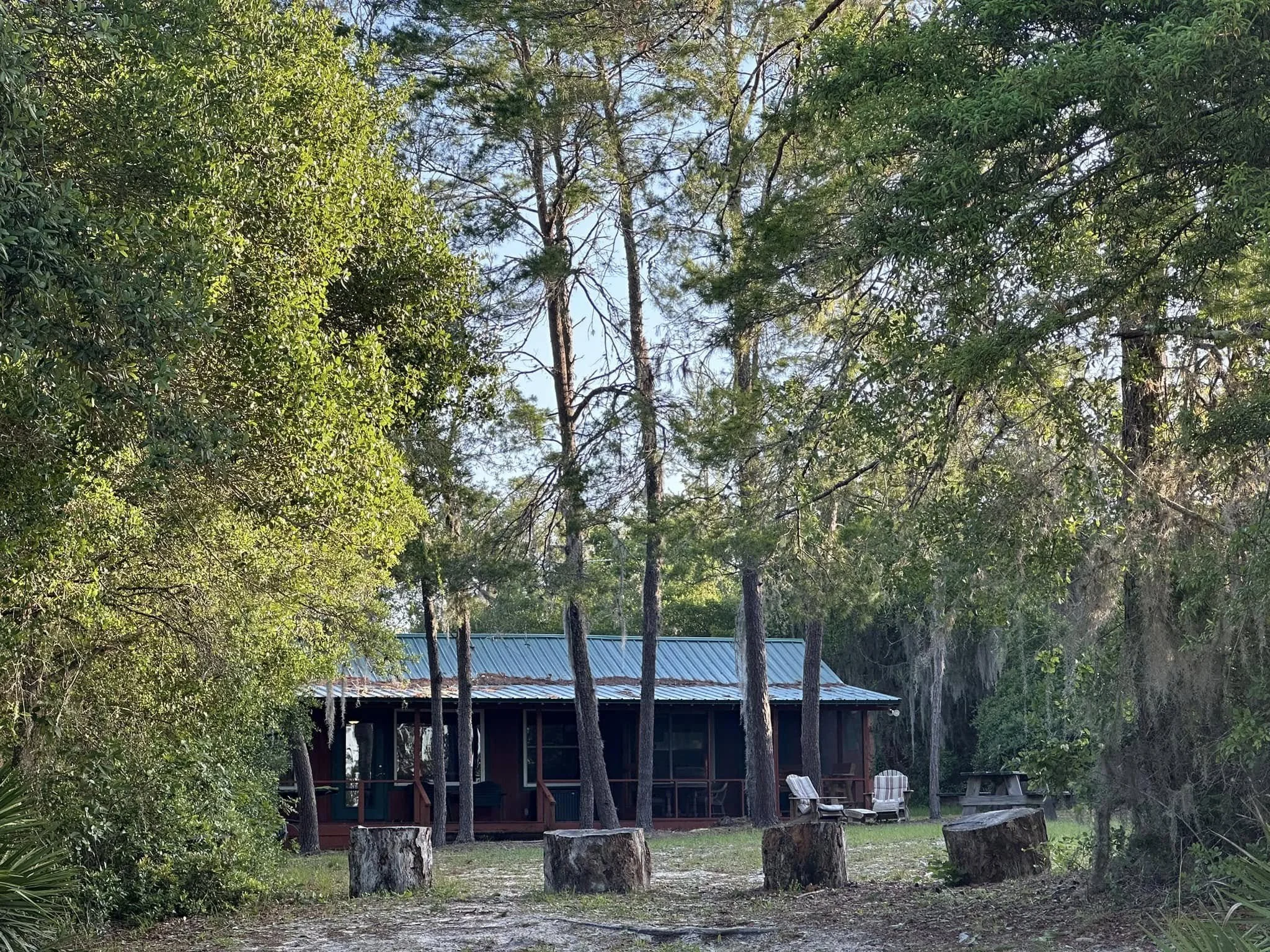 A cabin surrounded by trees with a metal roof, porch, and outdoor seating, including two Adirondack chairs and a picnic table, in a wooded area.