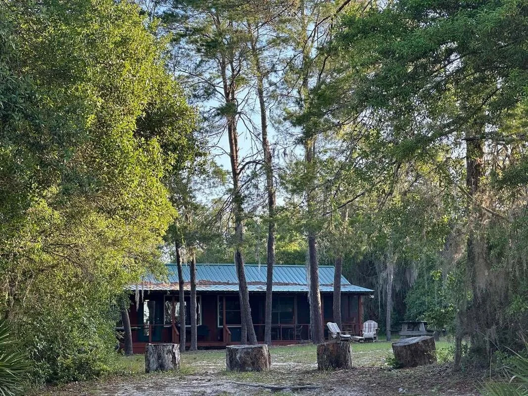 A cabin surrounded by trees with a metal roof, outdoor chairs on a porch, and tree stumps in front, in a wooded area.