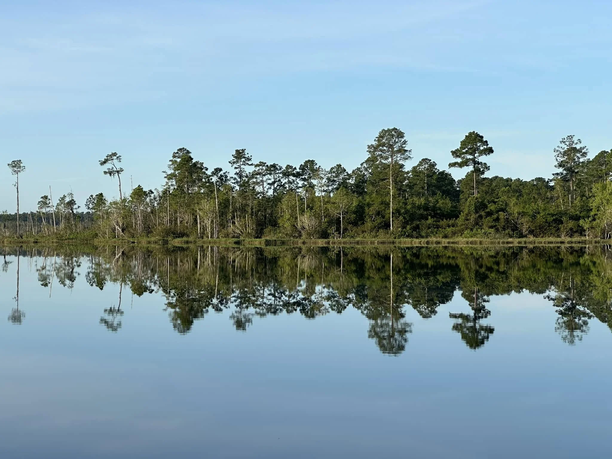 A tranquil lake with a clear reflection of a green tree-lined shoreline under a blue sky.