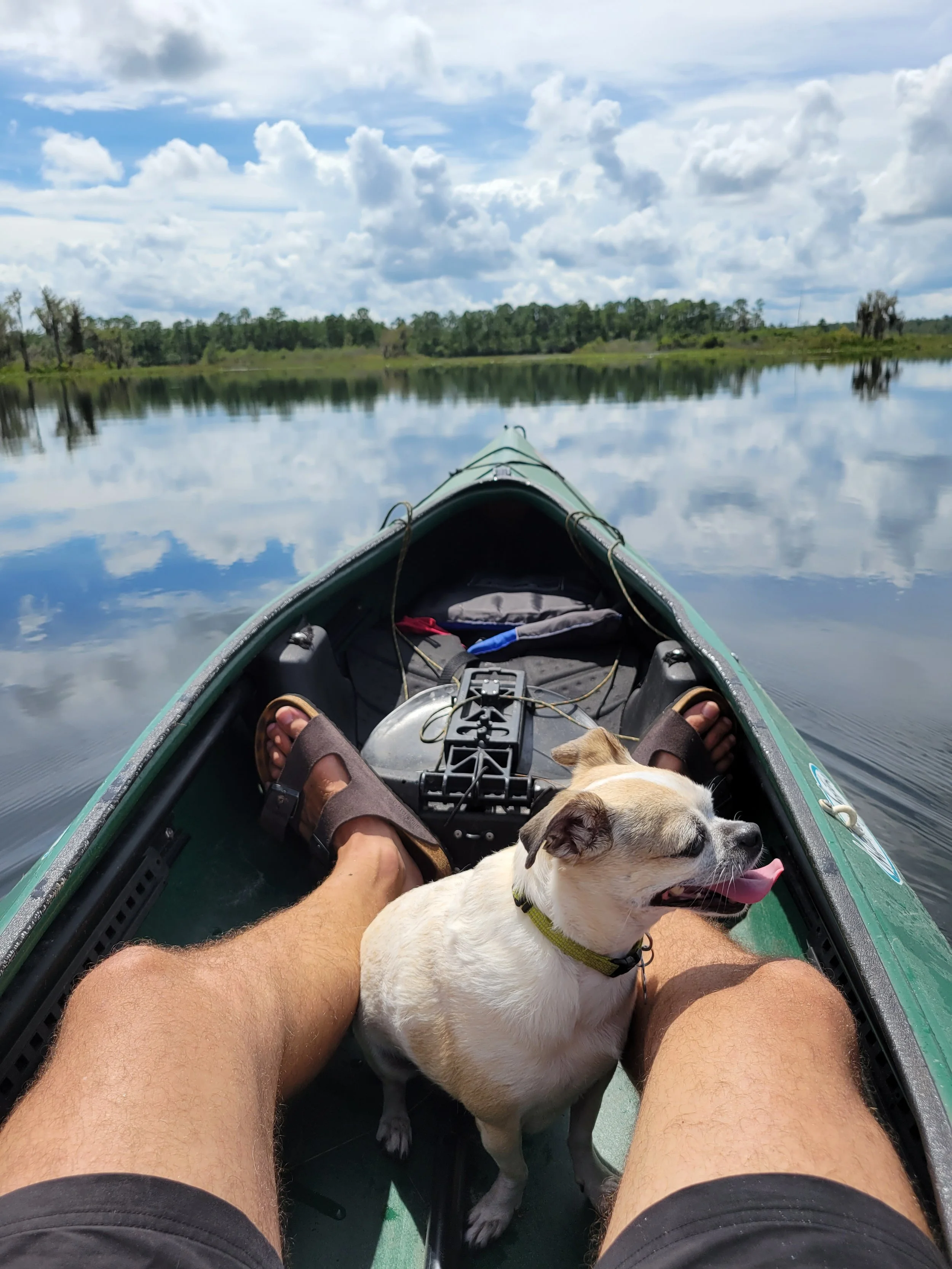 Person sitting in a green kayak with a small dog on their lap, on calm water with a reflection of trees and blue sky with clouds.