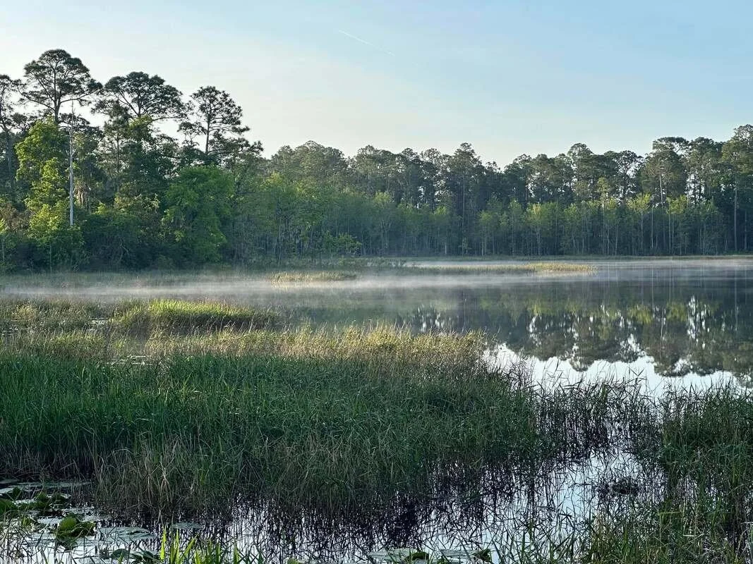 A serene lake scene with calm water, surrounded by lush green trees, with mist rising above the water and a clear blue sky overhead.