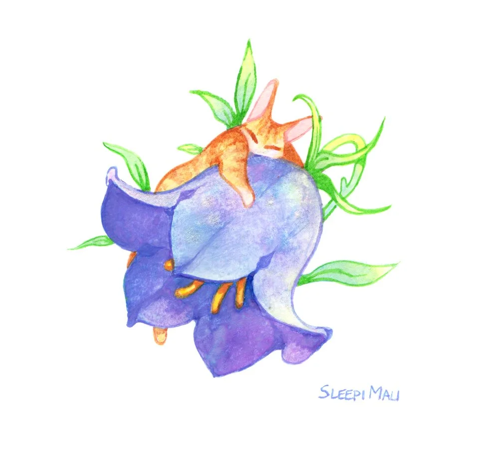 Bluebell Cat - by SleepiMali - small version.jpg