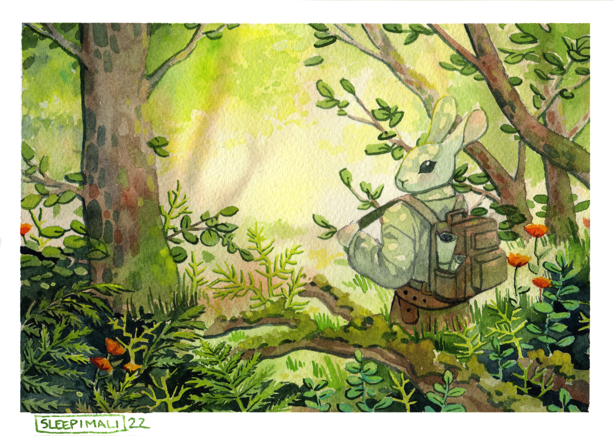 Little Explorer-smol.png