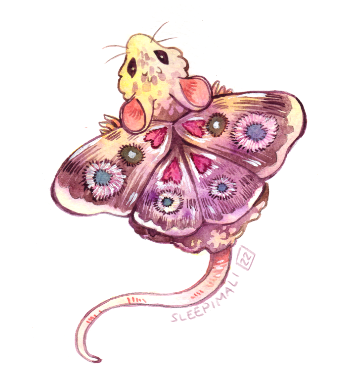 Mothice-smol.png
