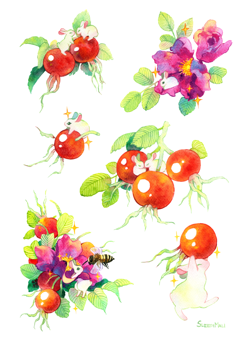 Rosehip buns - by SleepiMali - small.png