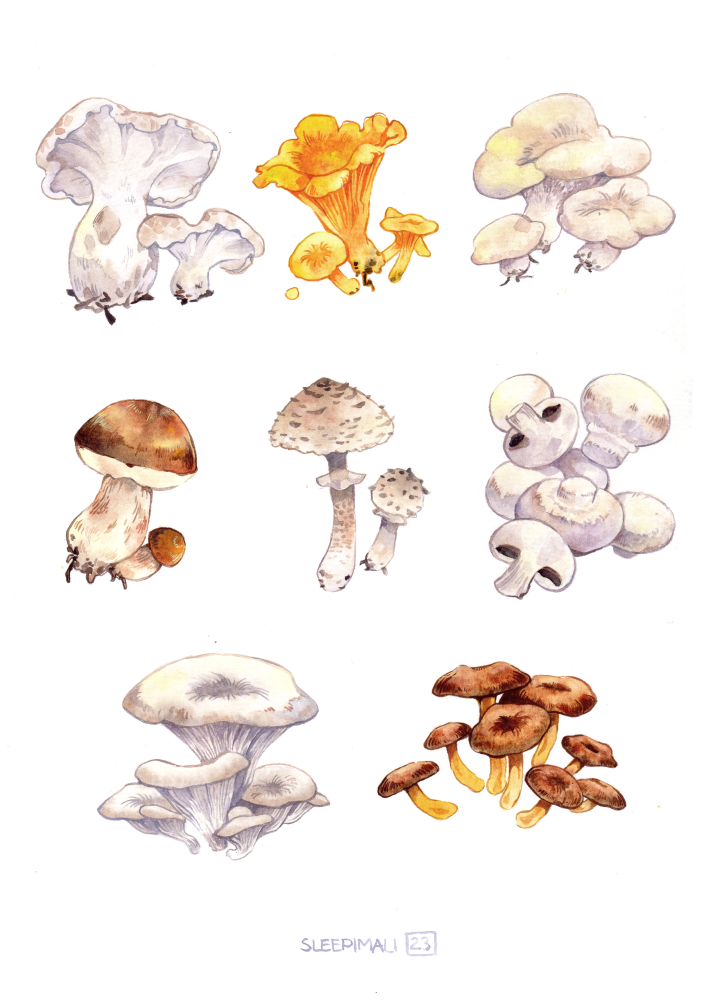 MushroomPrint-bySleepiMali-smallversioin.png