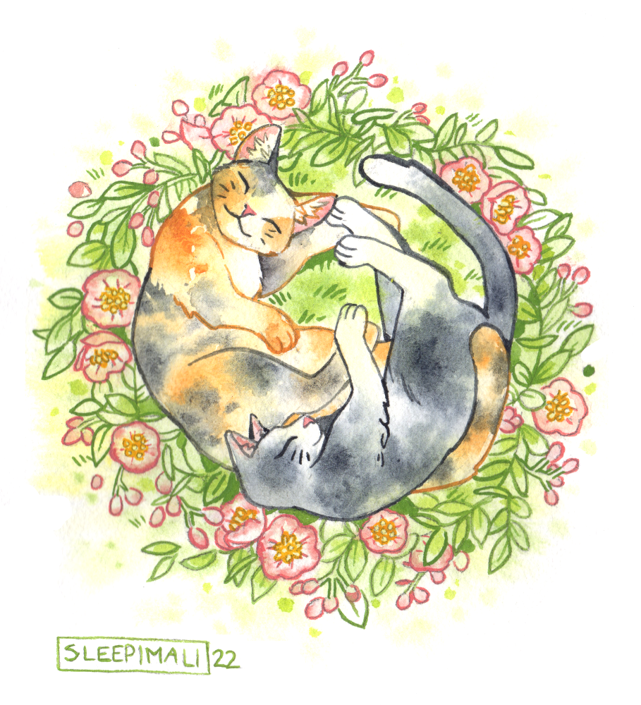 CatNap-smol.png