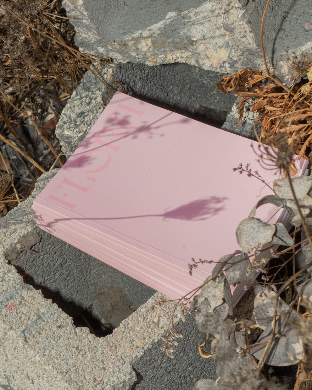 Screenshot 2025-12-18 at 3.41.55 PM.png