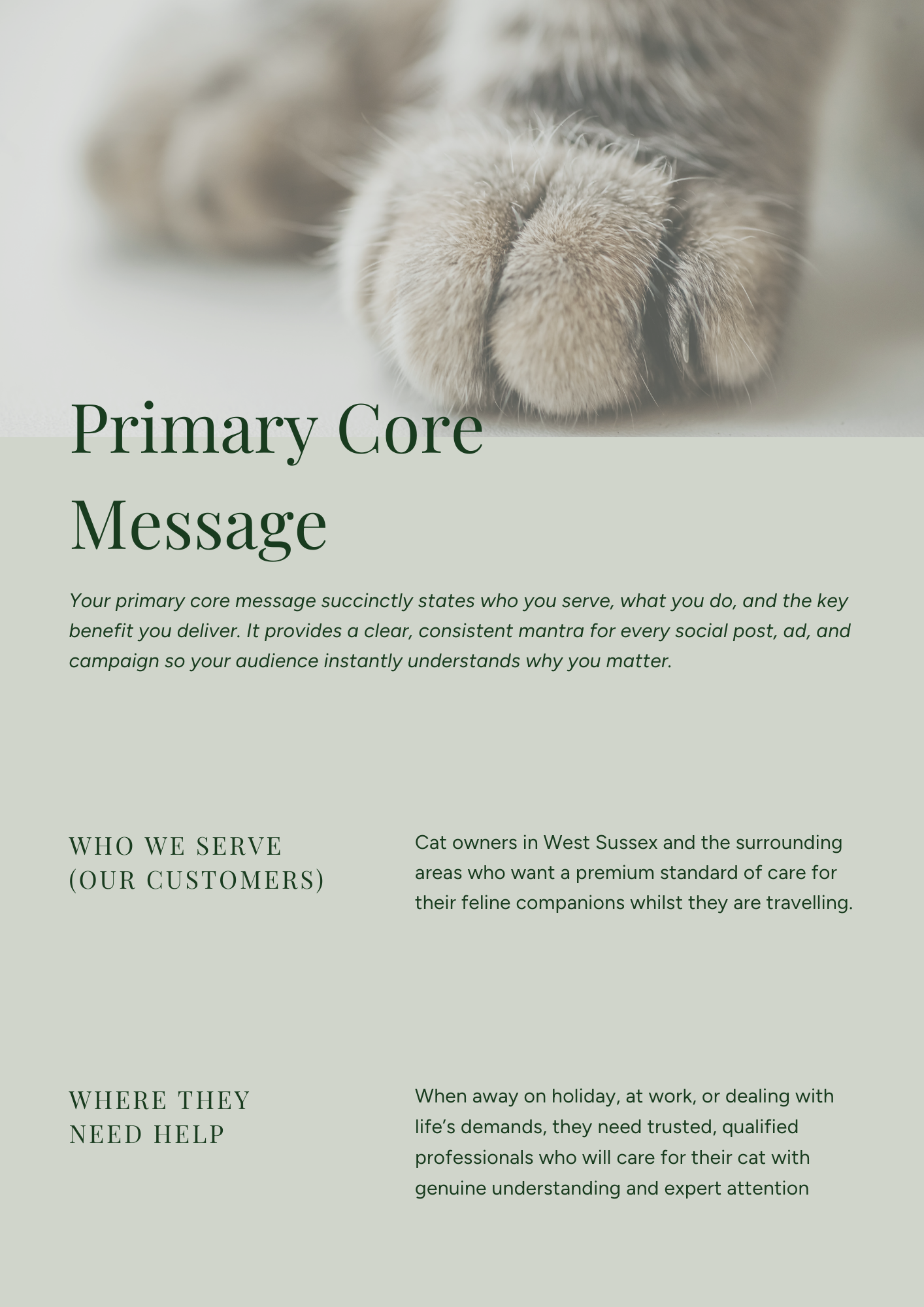 Close-up of a cat's paw with claws retracted resting on a surface, with an overlaid green text layout discussing a primary core message, target audience, and location of cat owners in West Sussex.