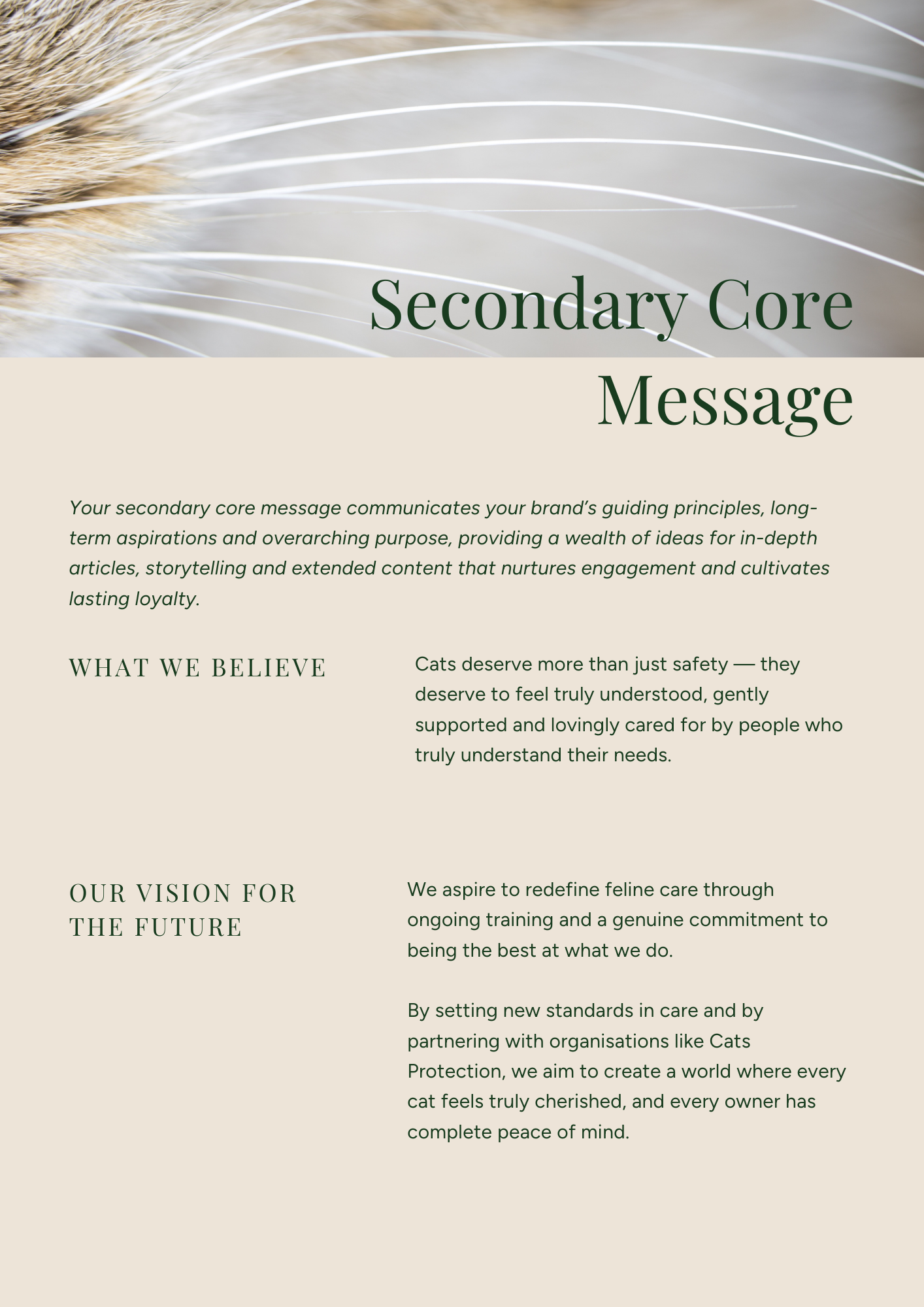 A document titled 'Secondary Core Message' with a close-up of a cat's whiskers and fur at the top, and text discussing values and future goals for feline care.