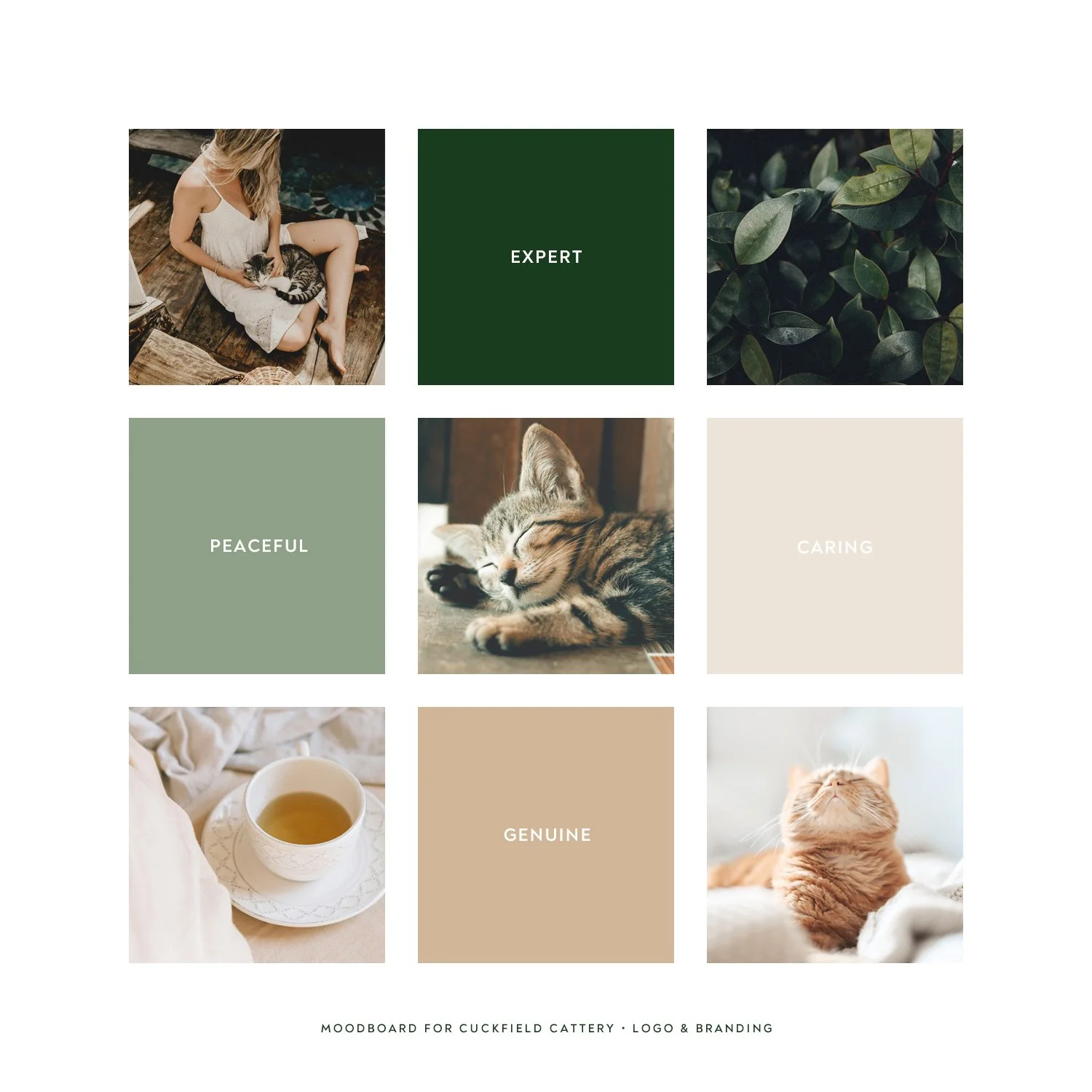 A mood board for Cuckfield Cattery with photos of cats, a cup of tea, and foliage, labeled with words like 'Expert,' 'Peaceful,' 'Caring,' and 'Genuine.'