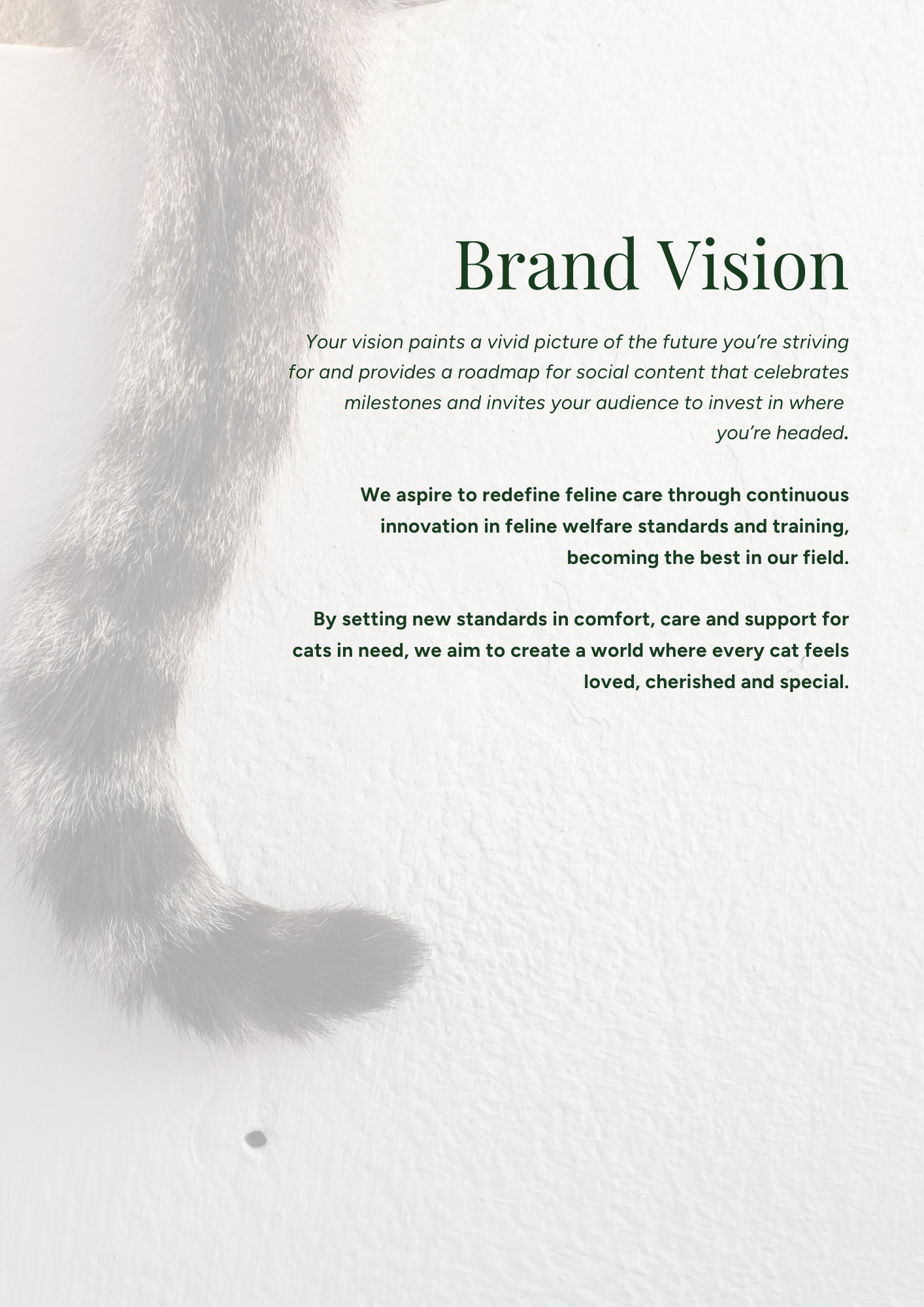 A page with the title 'Brand Vision' and a paragraph about feline care and standards. The background features a grayscale image of a cat's tail on a textured white surface.