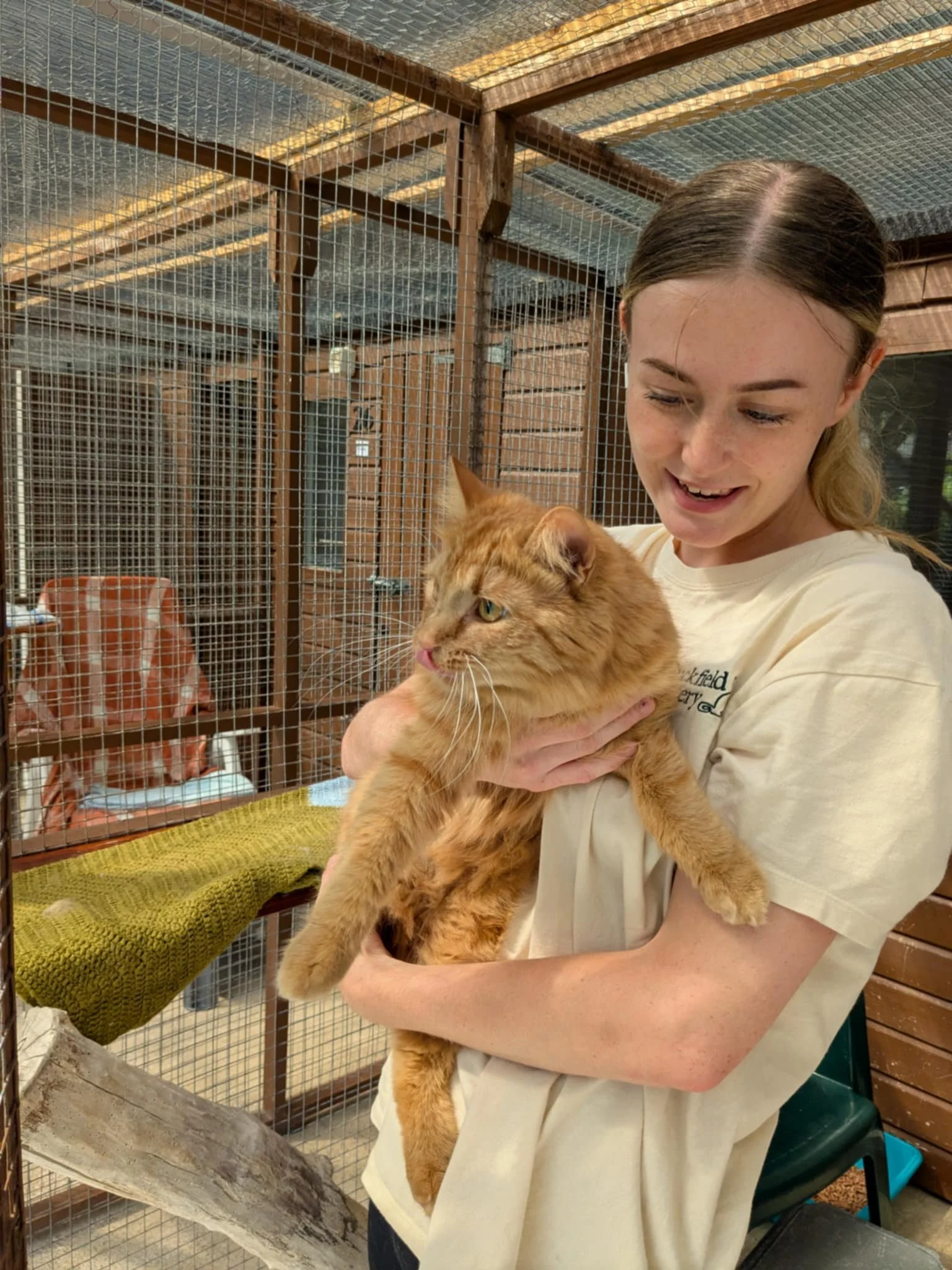 A young woman holding an orange tabby cat inside a caged outdoor enclosure.