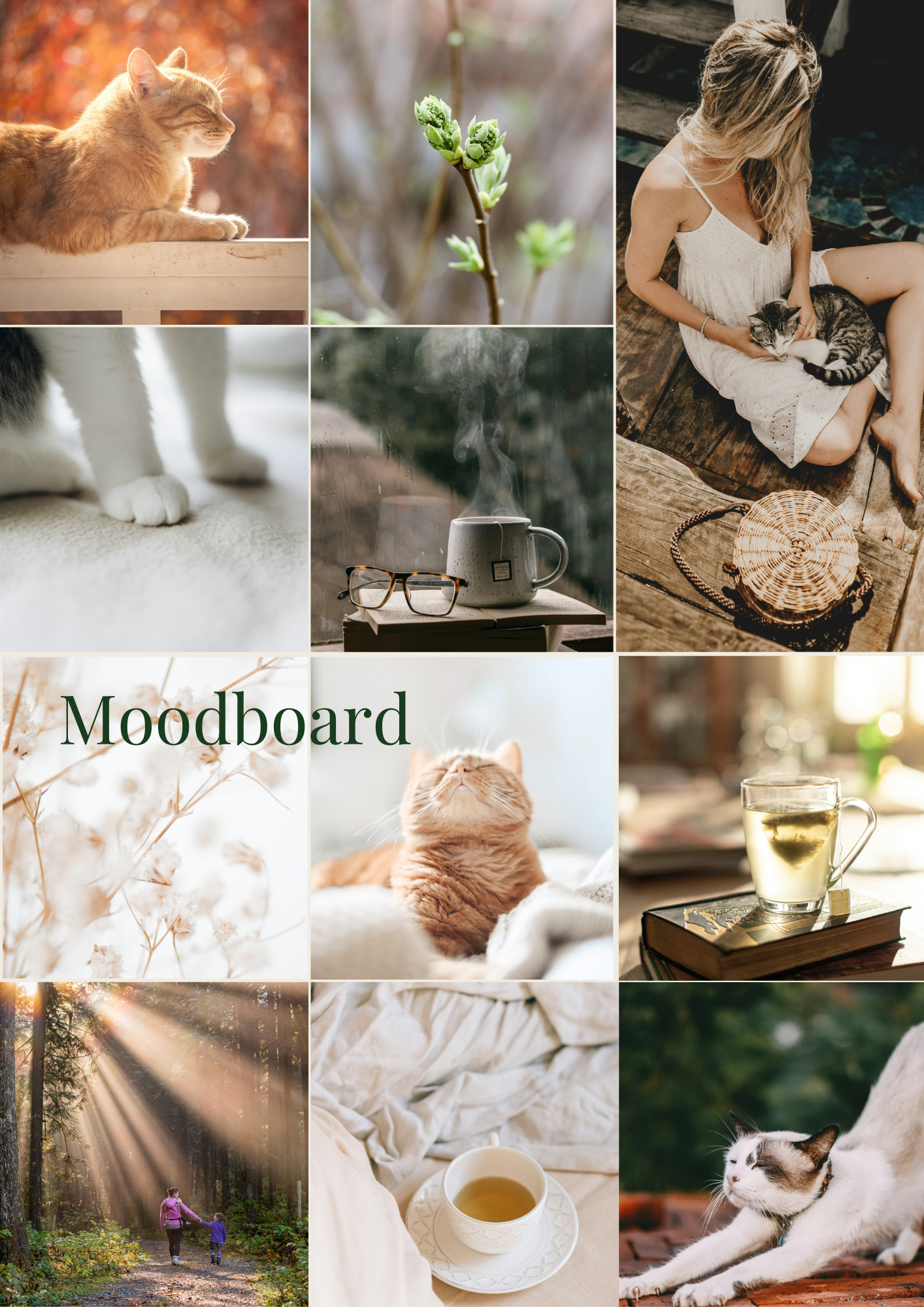 A moodboard featuring cozy, peaceful, and warm imagery including cats, a plant, a steaming cup of coffee, a girl with a cat, sunglasses, a steaming mug, a book with tea, sunlight filtering through trees, a person walking in a forest, a bed with a blanket, and a stretching cat.