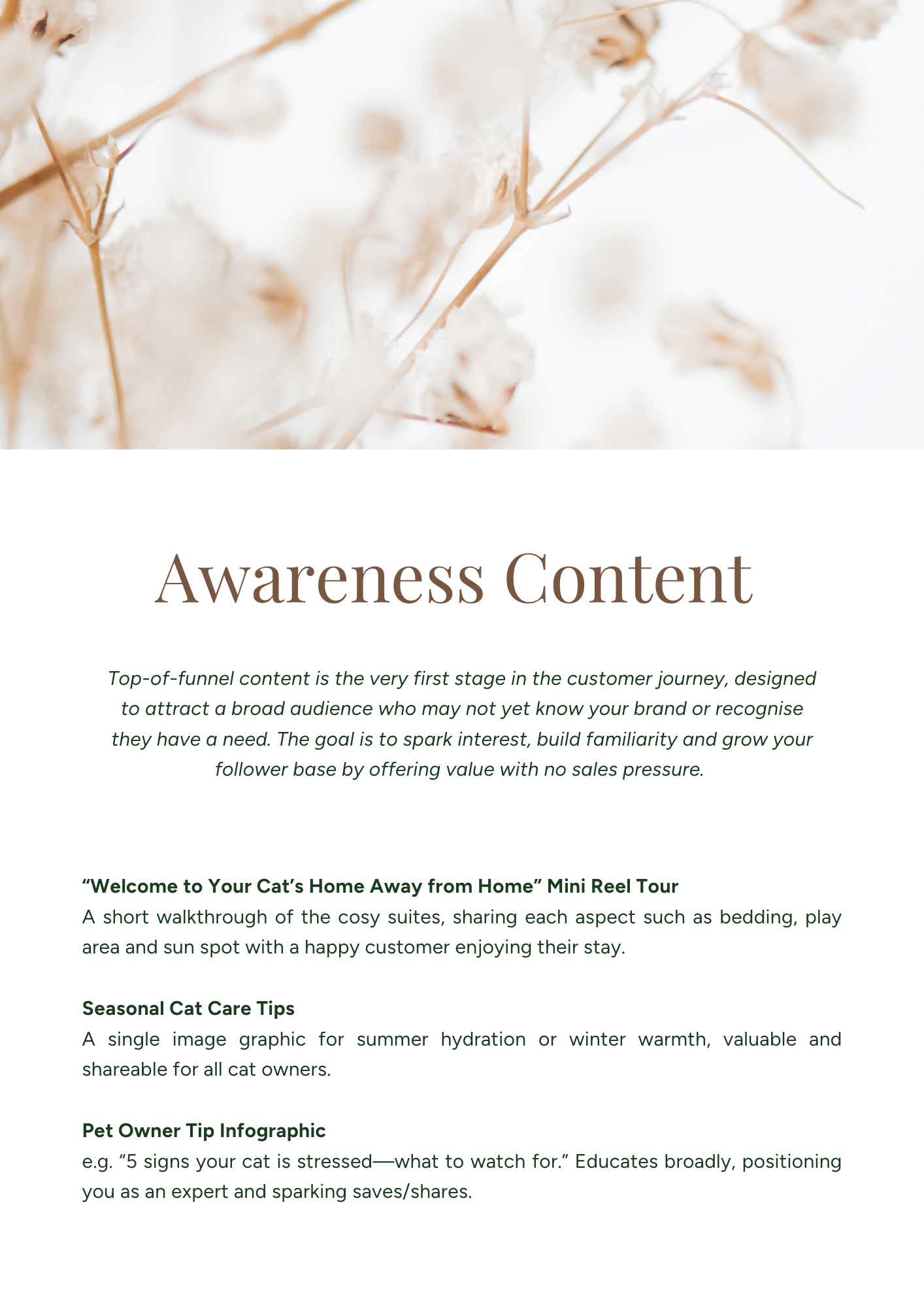 Close-up of dried white flowers or plants in a soft, light-colored background.