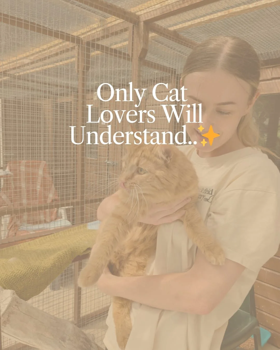A person holding an orange tabby cat in an animal shelter or cattery with cages in the background. The person is smiling and looking at the cat.