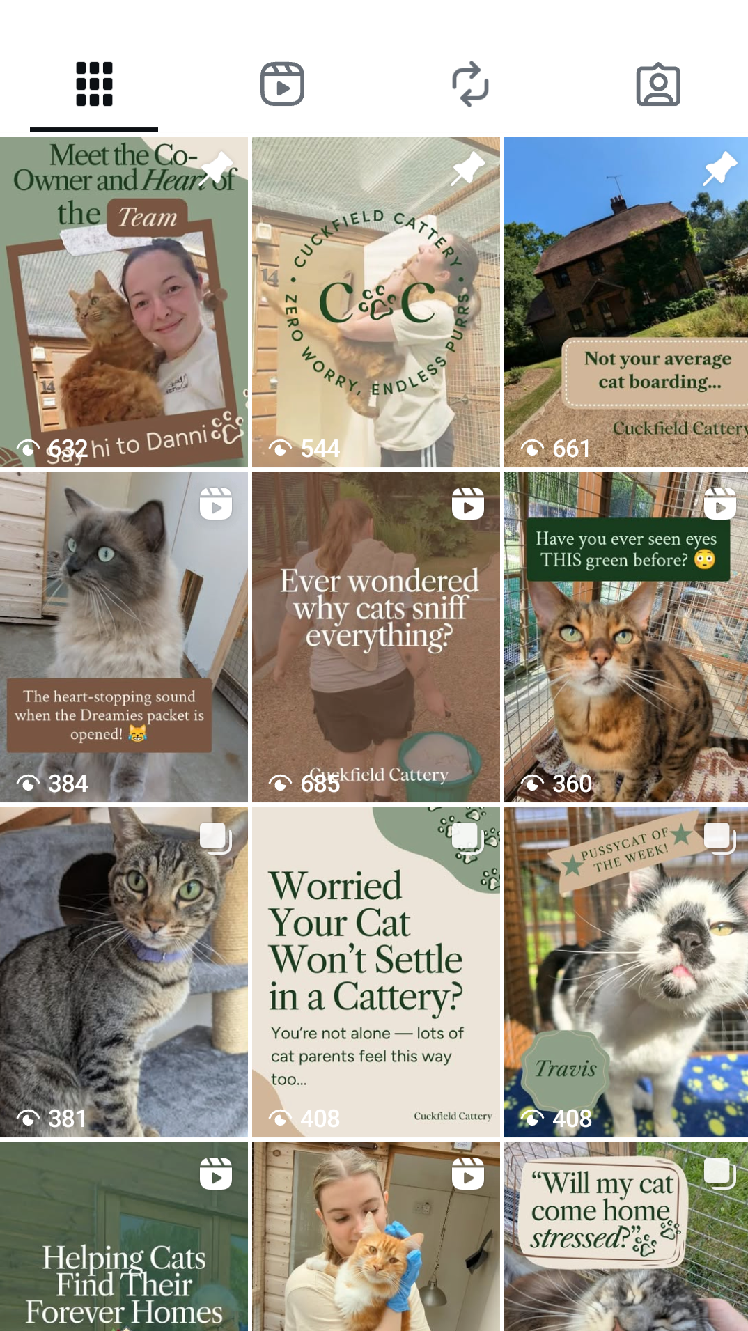 Collection of social media posts about cats and a cattery, featuring images of cats, captions about cat behavior and care, and promotional content.