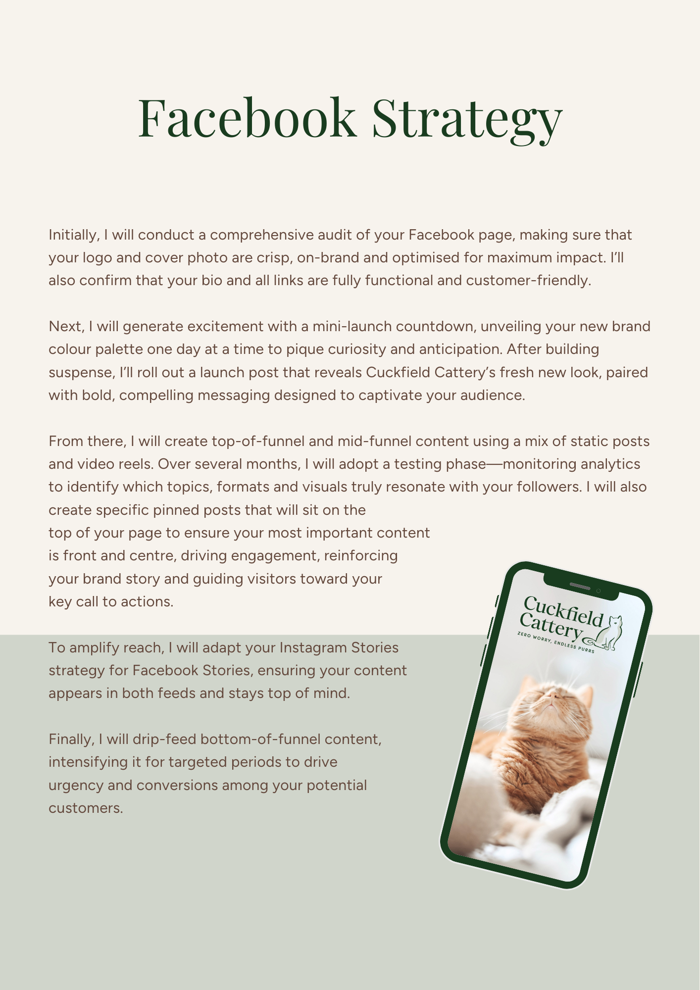 A Facebook strategy document featuring a green theme, with a smartphone displaying an image of an orange cat and the logo of Cuckfield Cattery. The document outlines steps for social media marketing, including audits, content creation, and audience engagement.