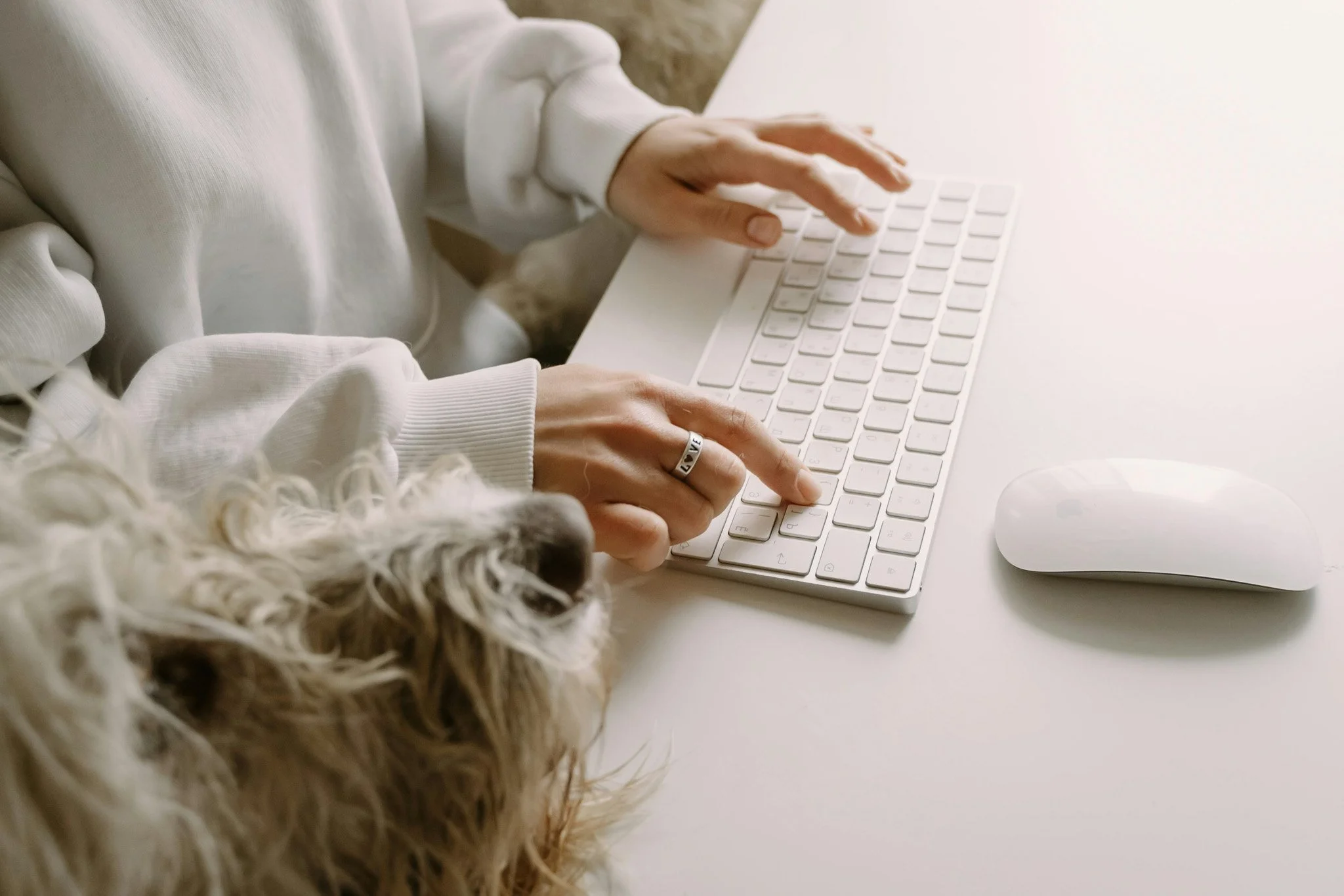 Person using a white keyboard with a white mouse nearby, sitting at a white desk, with a dog resting nearby.
