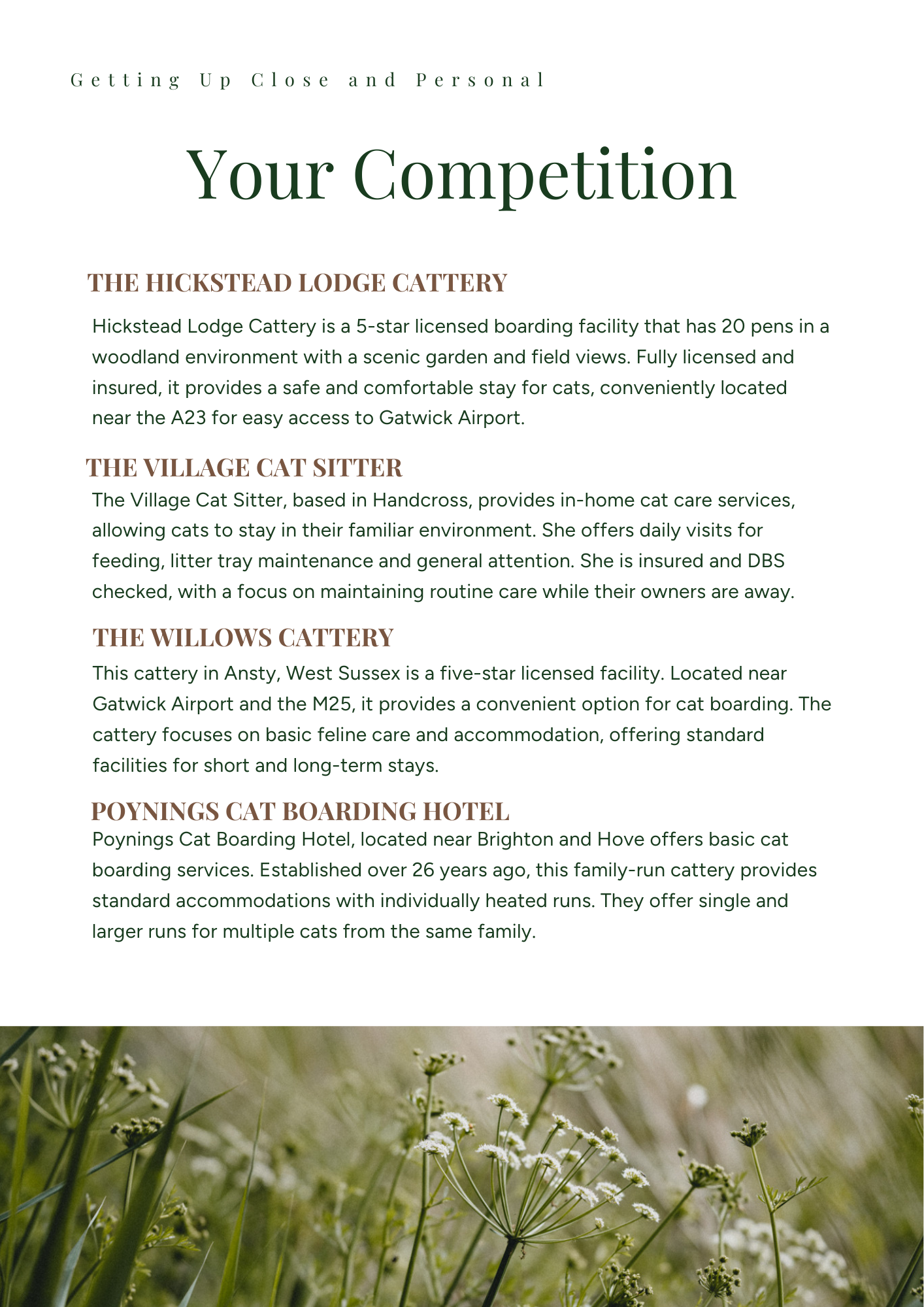 Information sheet about cat boarding facilities, listing four locations with descriptions, with a background image of white flowers and green foliage.