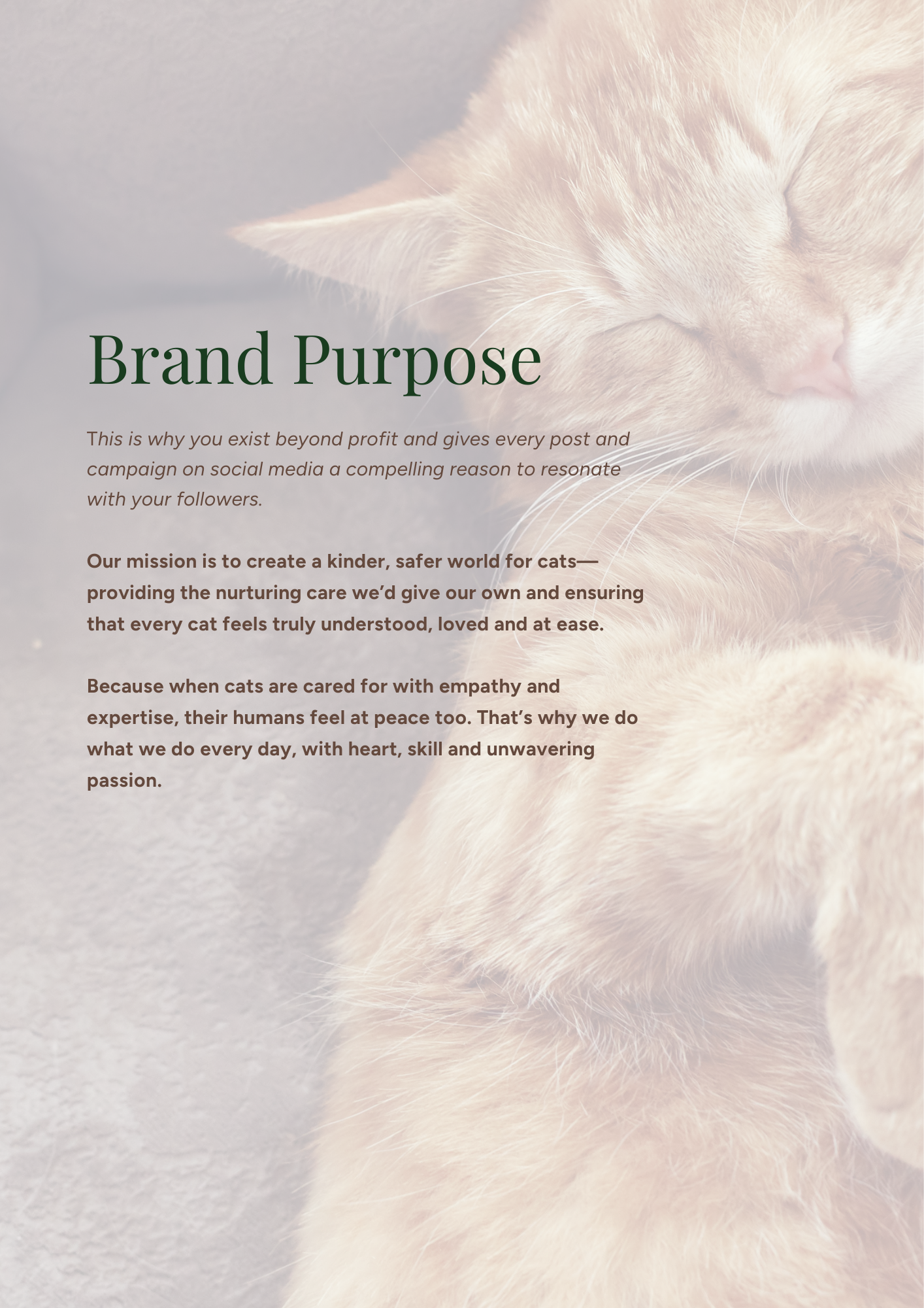 A close-up of a sleeping orange tabby cat with a soft, light-colored background.