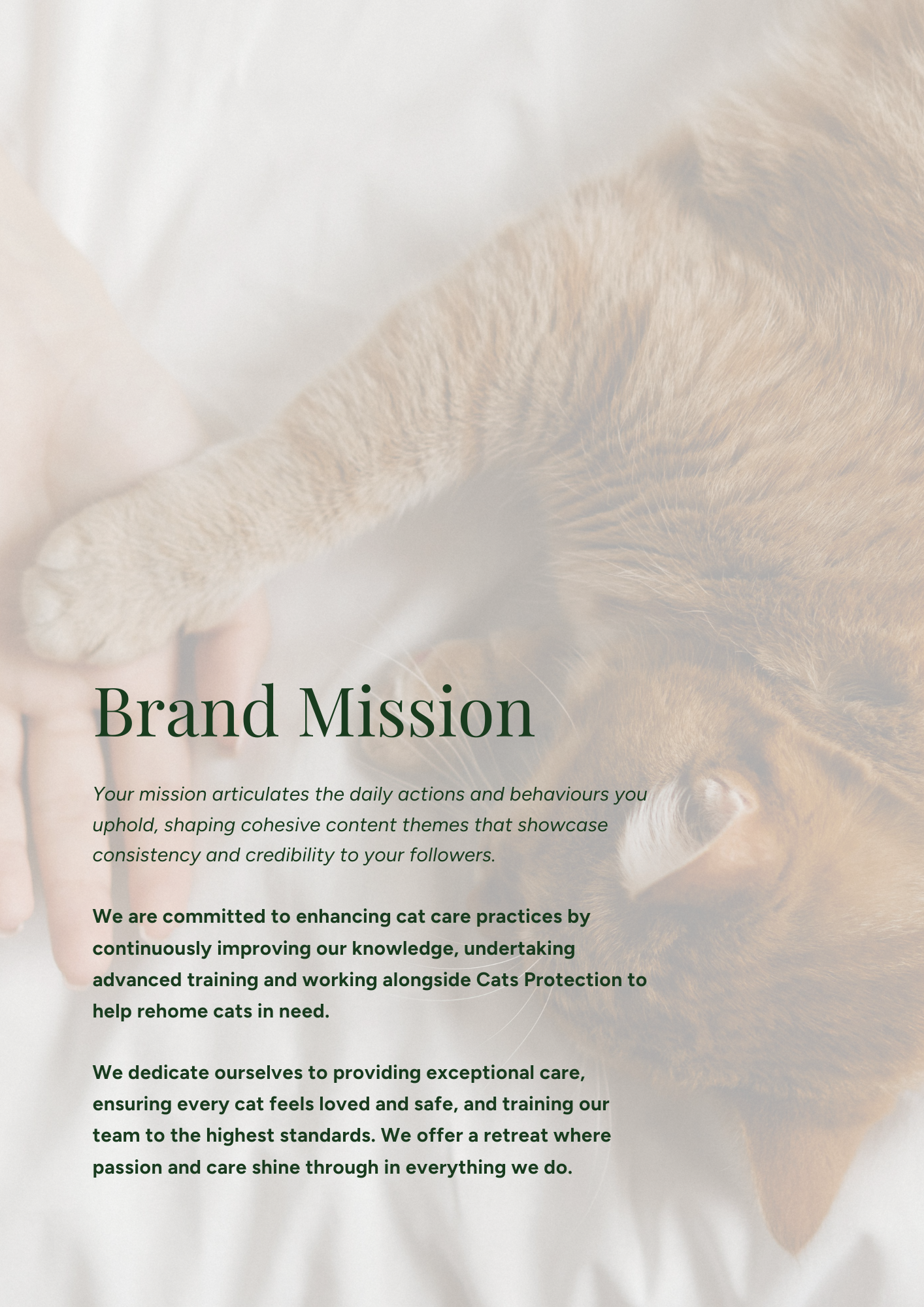 A person petting an orange tabby cat lying on a white surface with a light background. The image has overlaid text about a brand's mission related to cat care.
