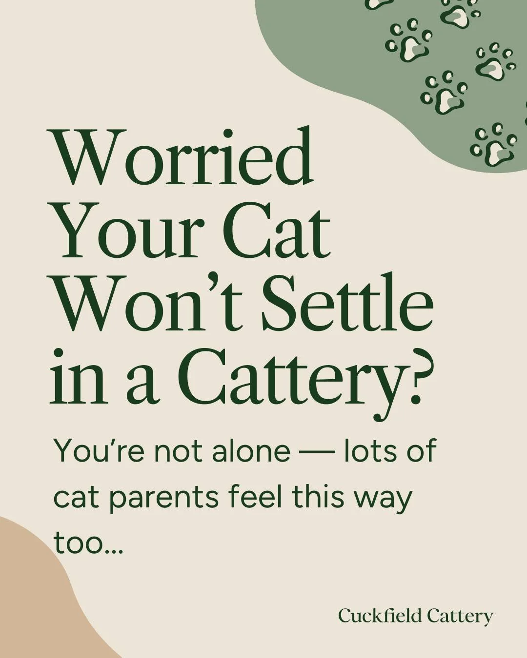 A poster with a beige background and green and brown abstract shapes. The text reads, "Worried Your Cat Won't Settle in a Cattery? You're not alone — lots of cat parents feel this way too..." and is attributed to Cuckfield Cattery.