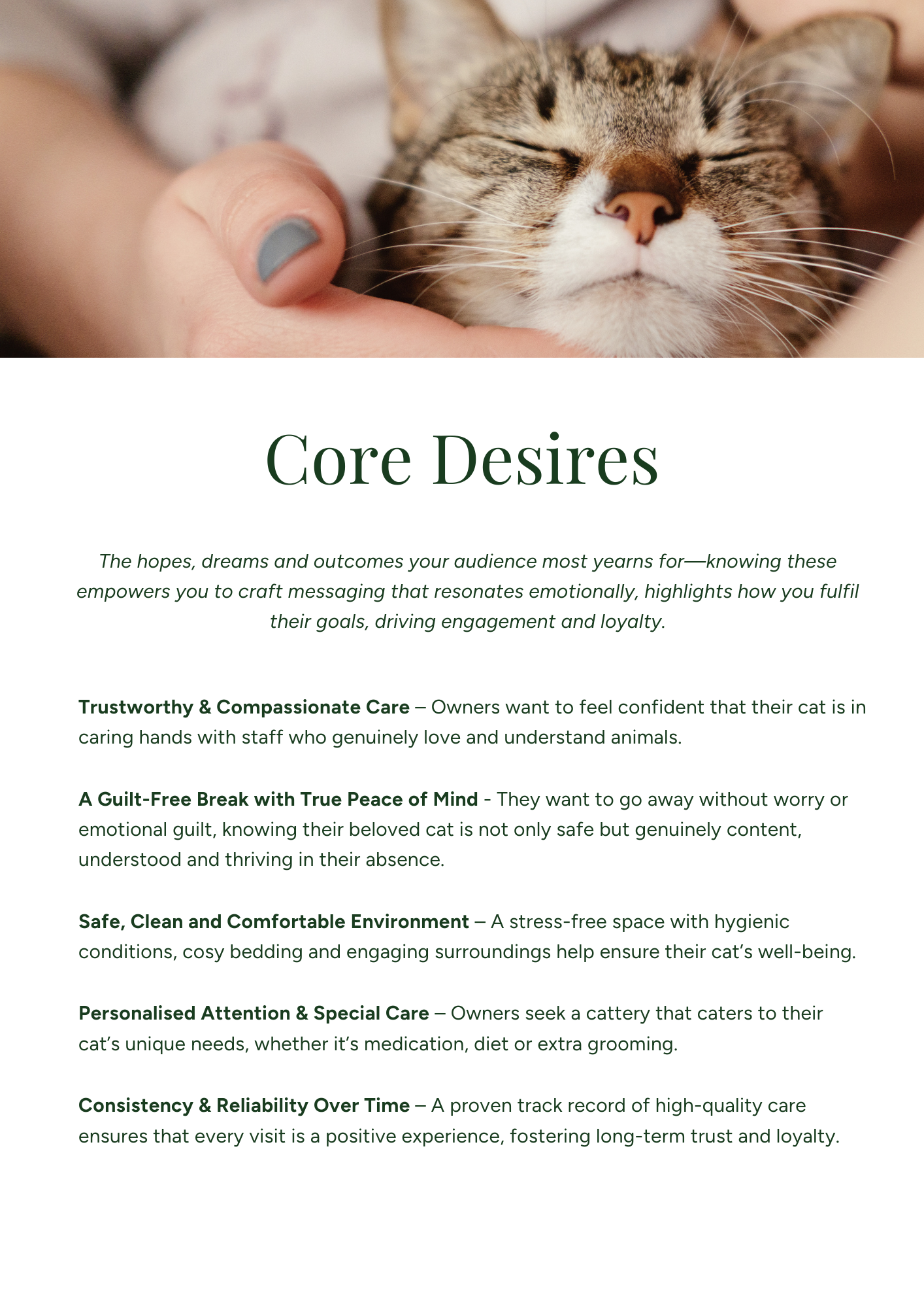 A close-up of a contented cat being gently held by a person.