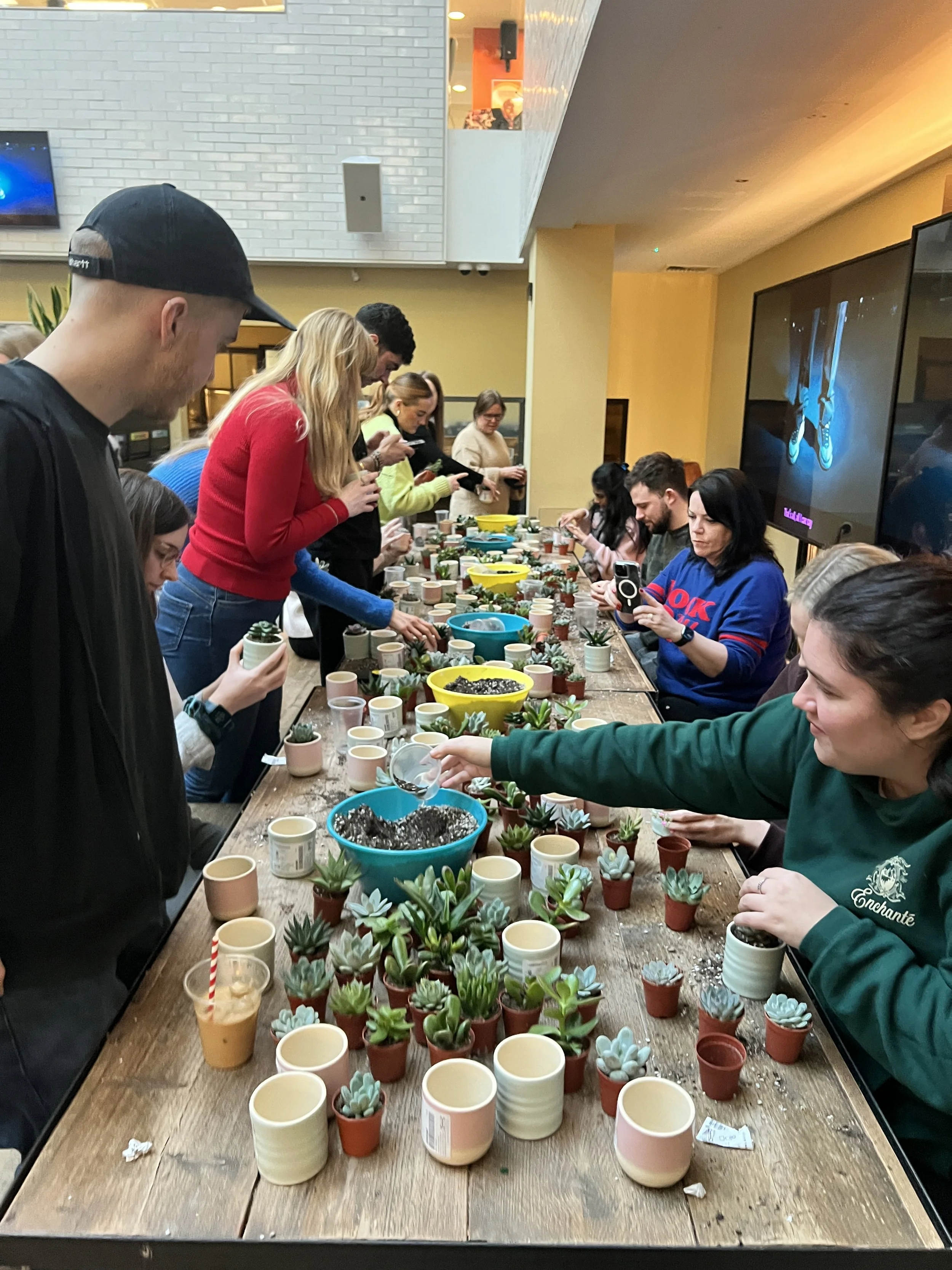 People gathered around a long table planting succulents in small pots in an indoor setting, some using tools and others taking photos.