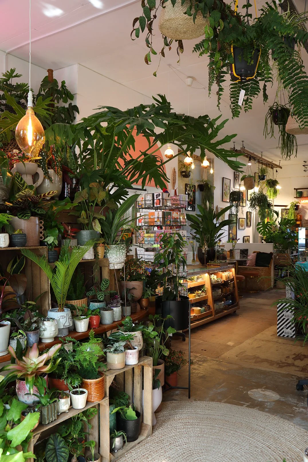 Interior of a plant shop or greenhouse filled with various indoor plants, potted and on shelves, with warm lighting and wall art.