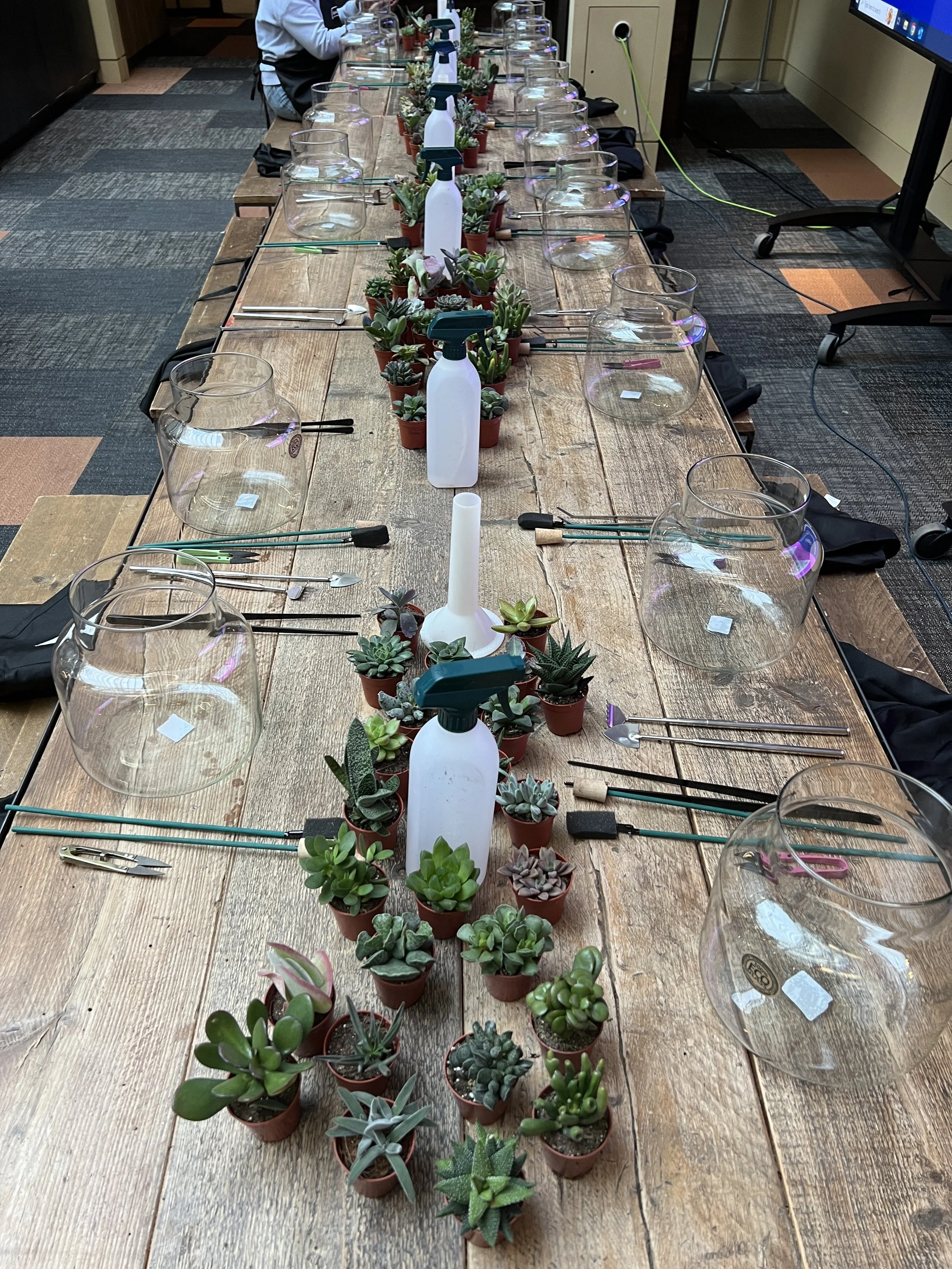 A long wooden table set for a group, with empty glass bowls, small potted succulents, and spray bottles for watering, arranged as a centerpiece.