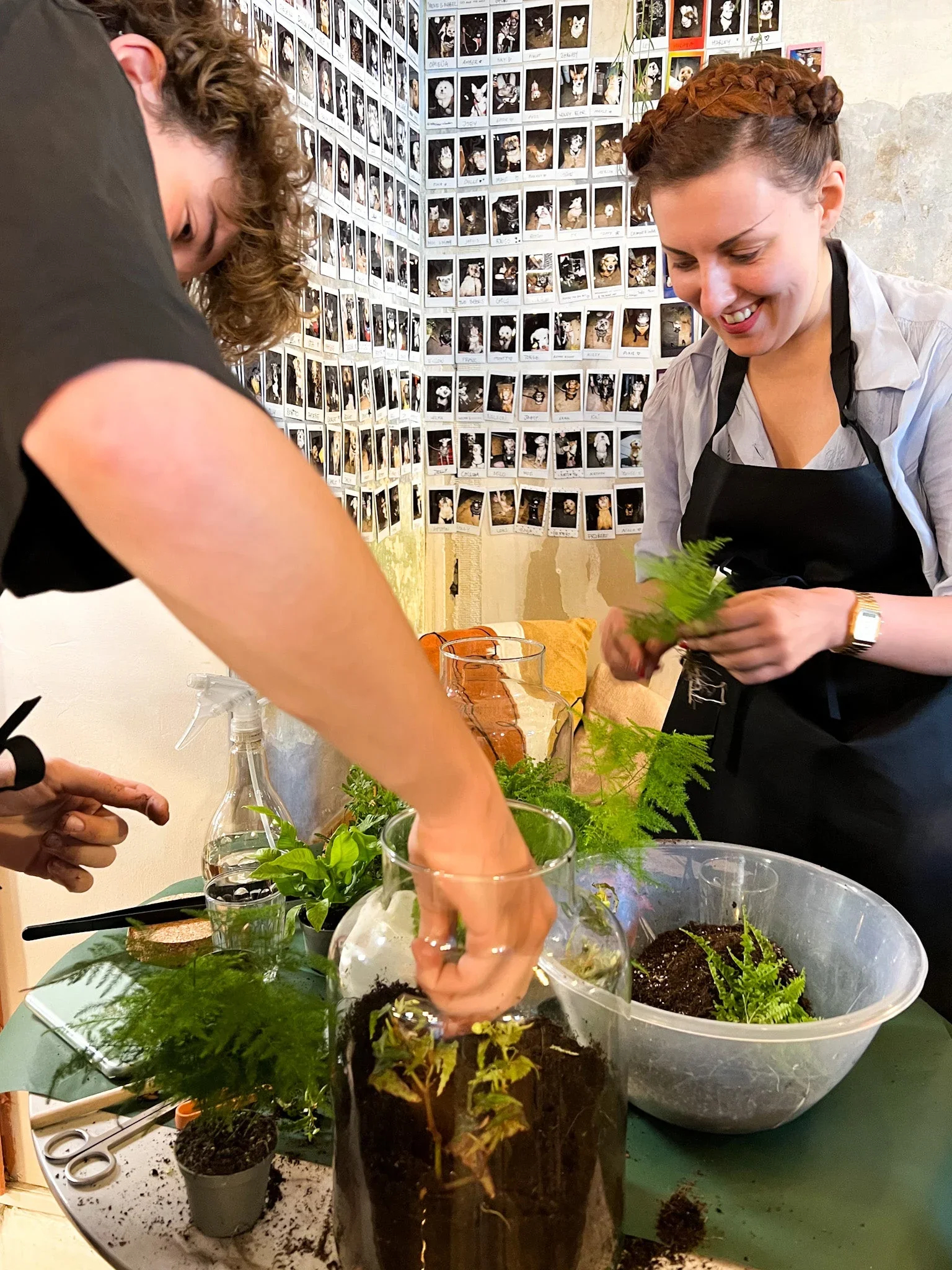 Two women planting herbs in glass containers on a table with a background of Polaroid photos of pets on the wall.