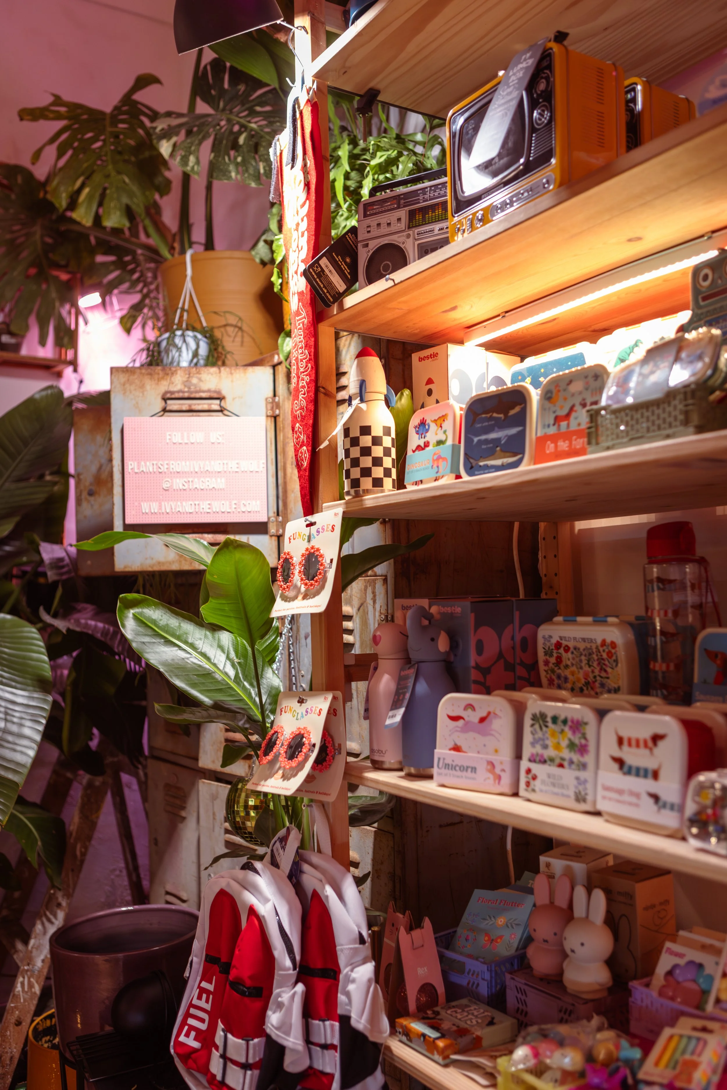 Display of colorful toys and decorative items on wooden shelves in a store, with green plants and a sign promoting social media on the side.