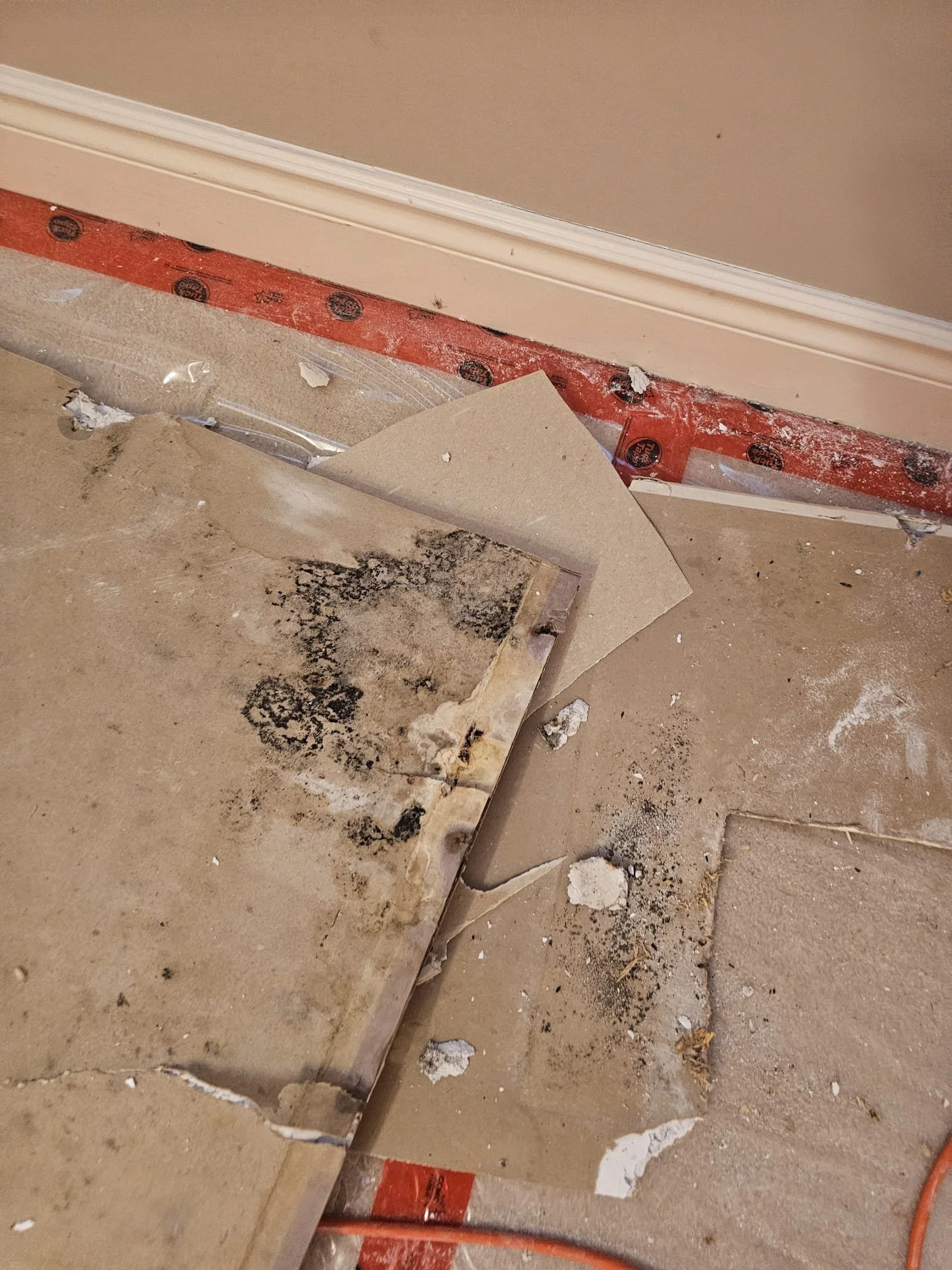 WhatsApp Image 2025-12-25 at 1.24.59 PM.jpeg