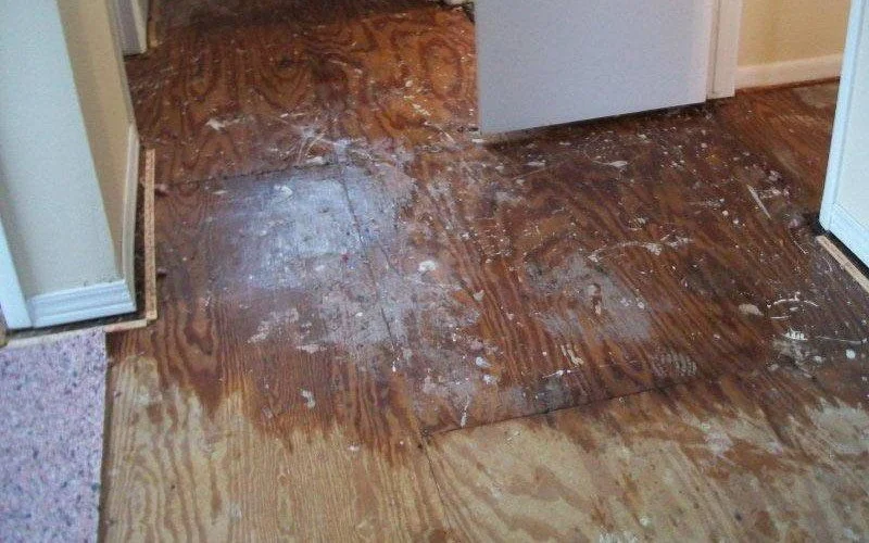 Water-Damage-Restoration-checklist.jpg