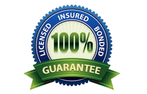 A circular badge with a blue border and green ribbon that reads "GUARANTEE." In the center, it says "100%" in large green text, with a gradient background.
