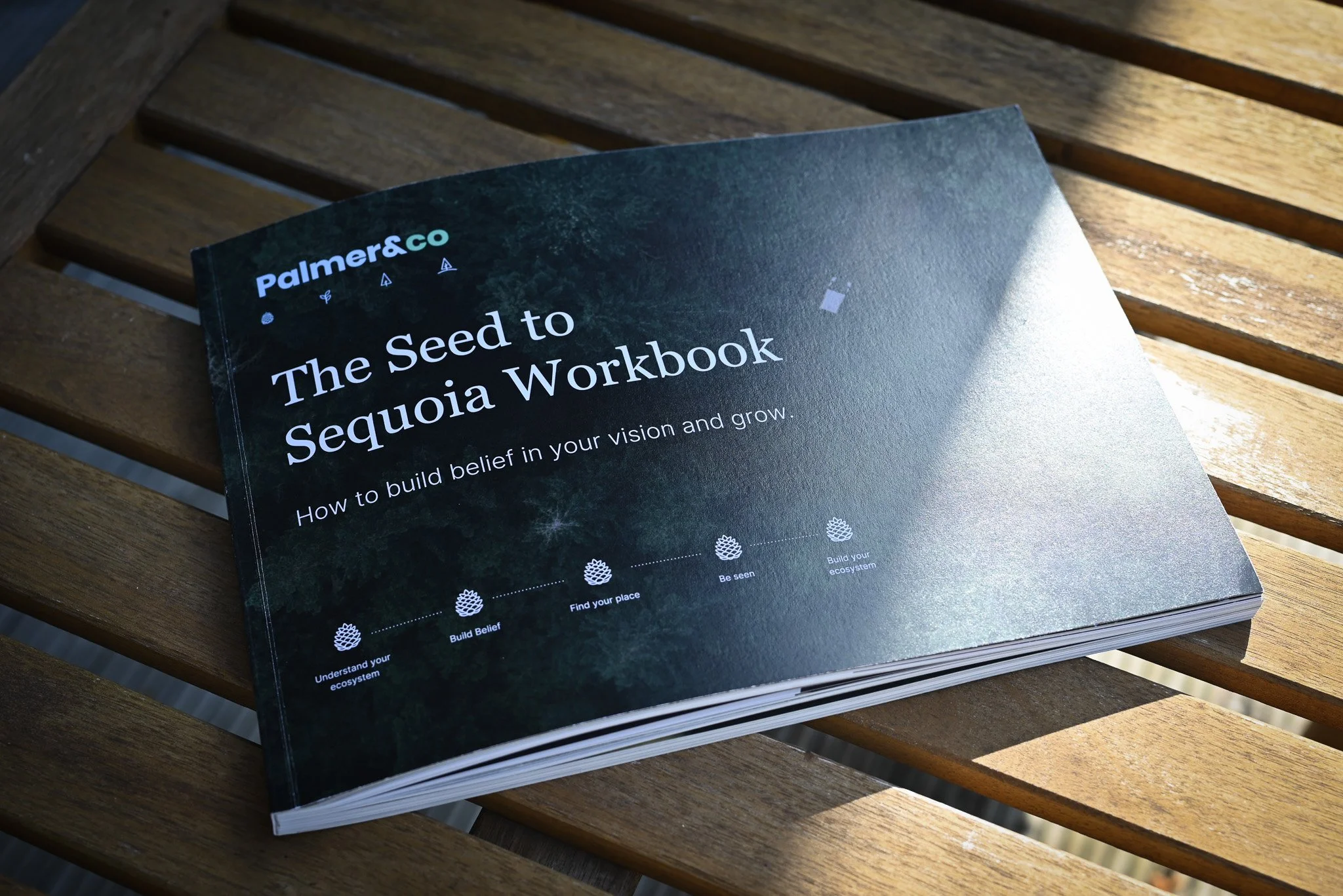 Seed to Sequoia Workbook