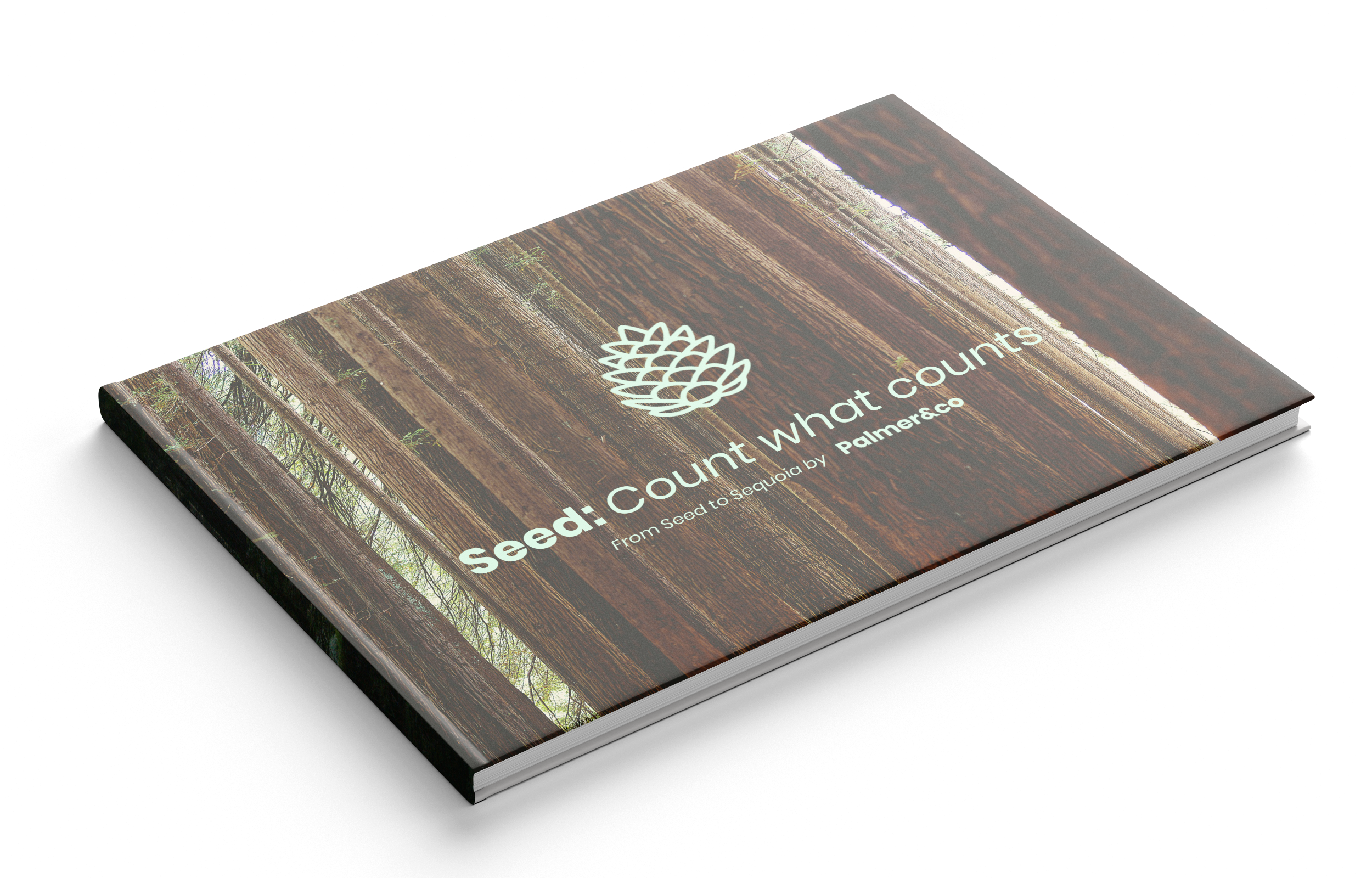Seed: Count what counts