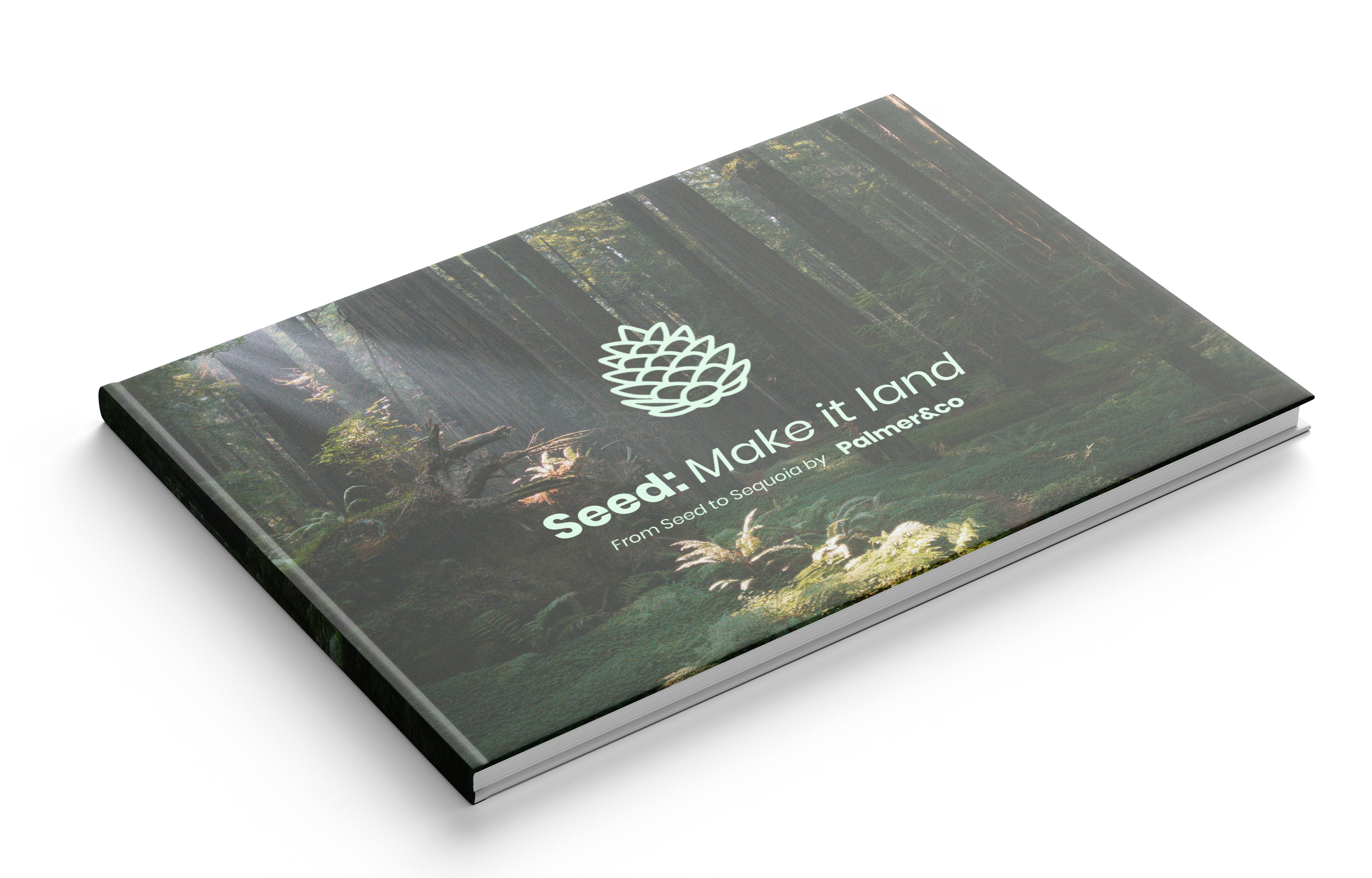 Seed: Make it land - the pitch