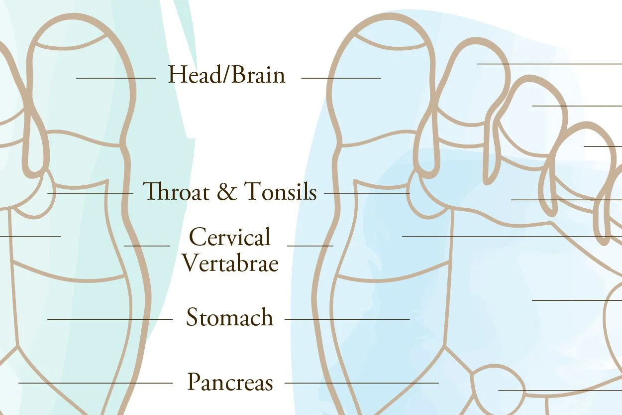 Diagram of the human body highlighting the head, throat, cervical vertebrae, stomach, and pancreas.