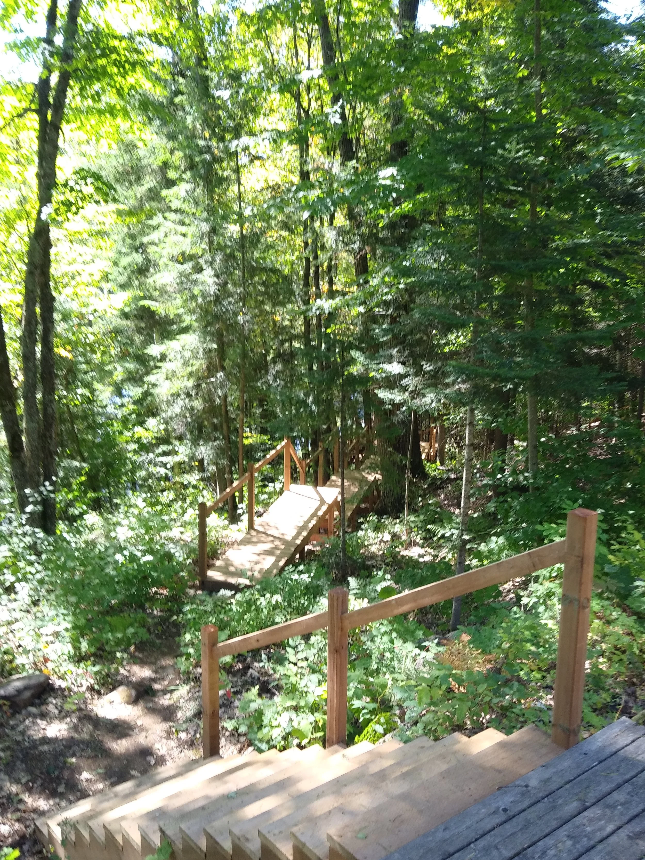 FOREST WALKWAY & STAIRS (4).jpg