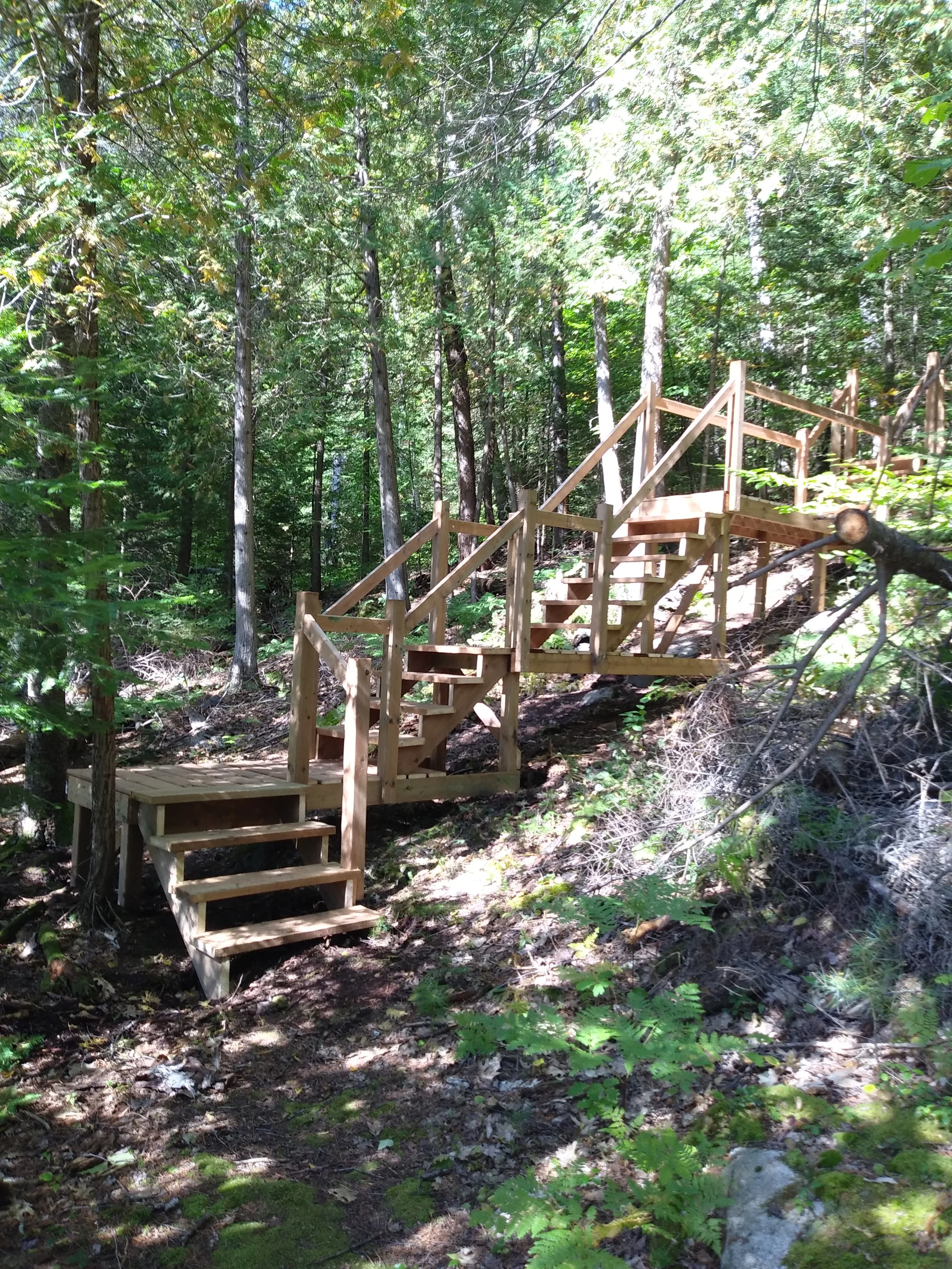 FOREST WALKWAY & STAIRS (6).jpg