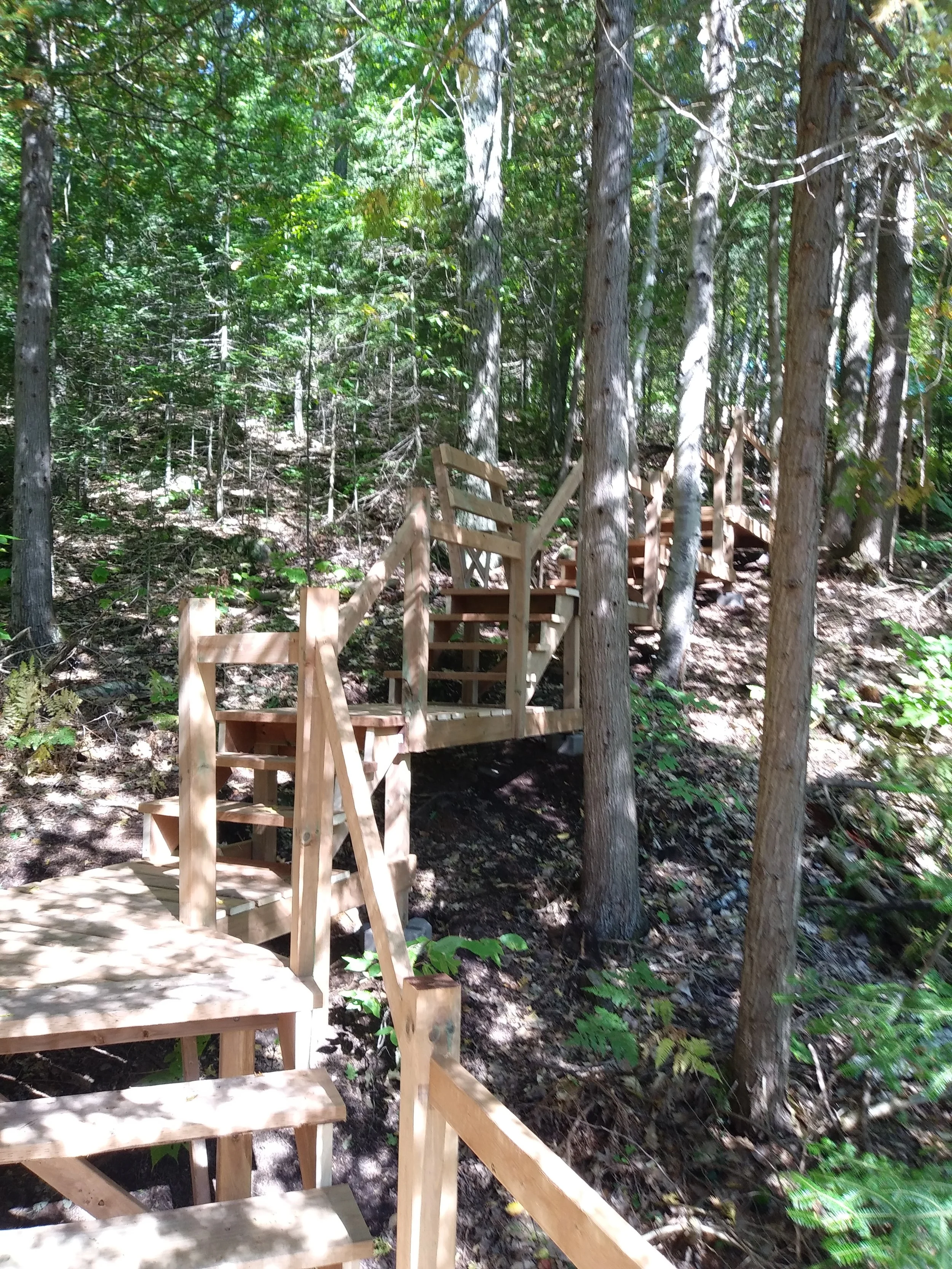 FOREST WALKWAY & STAIRS (7).jpg