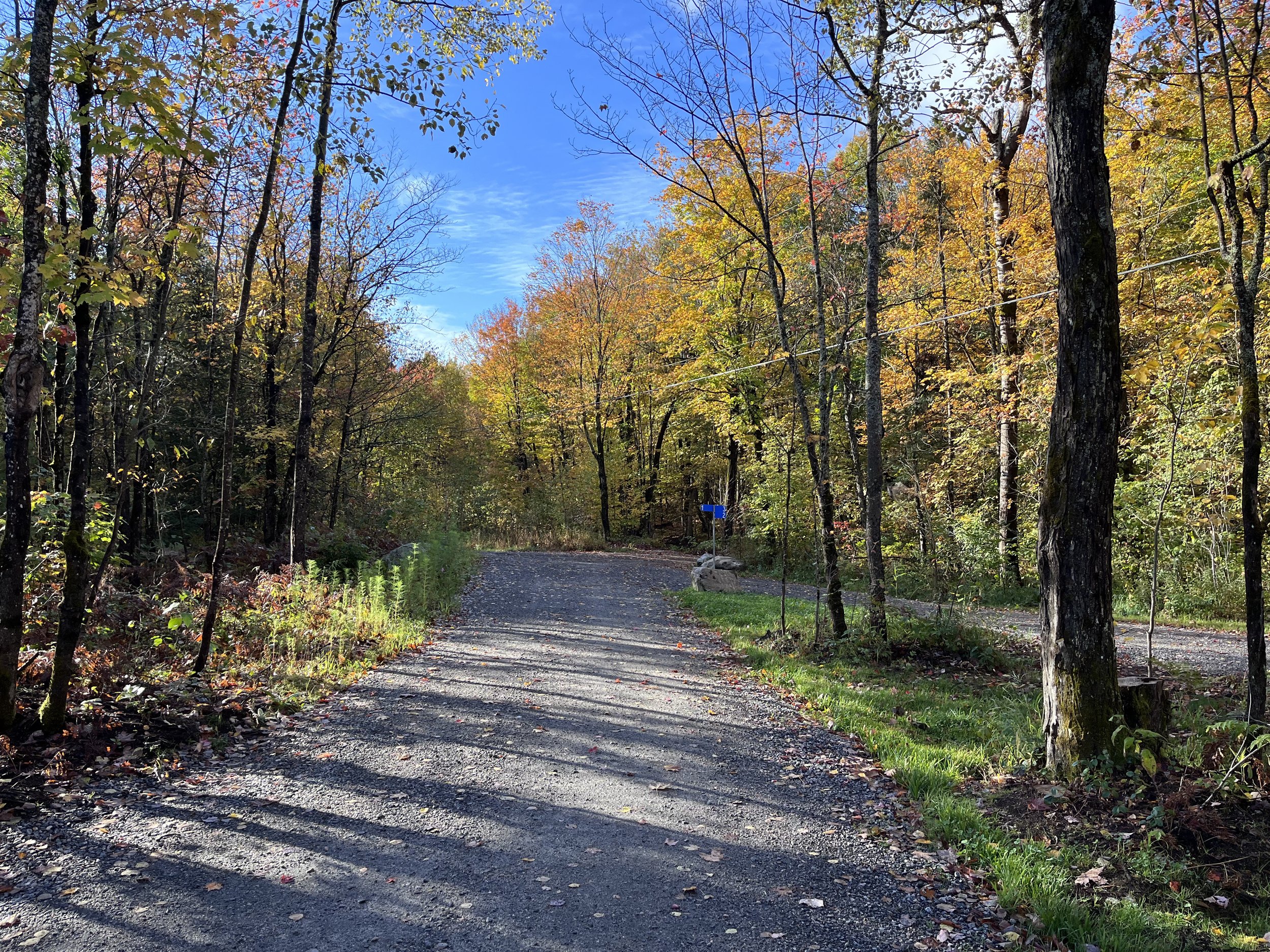 BAYSVILLE DRIVEWAY (3).jpg