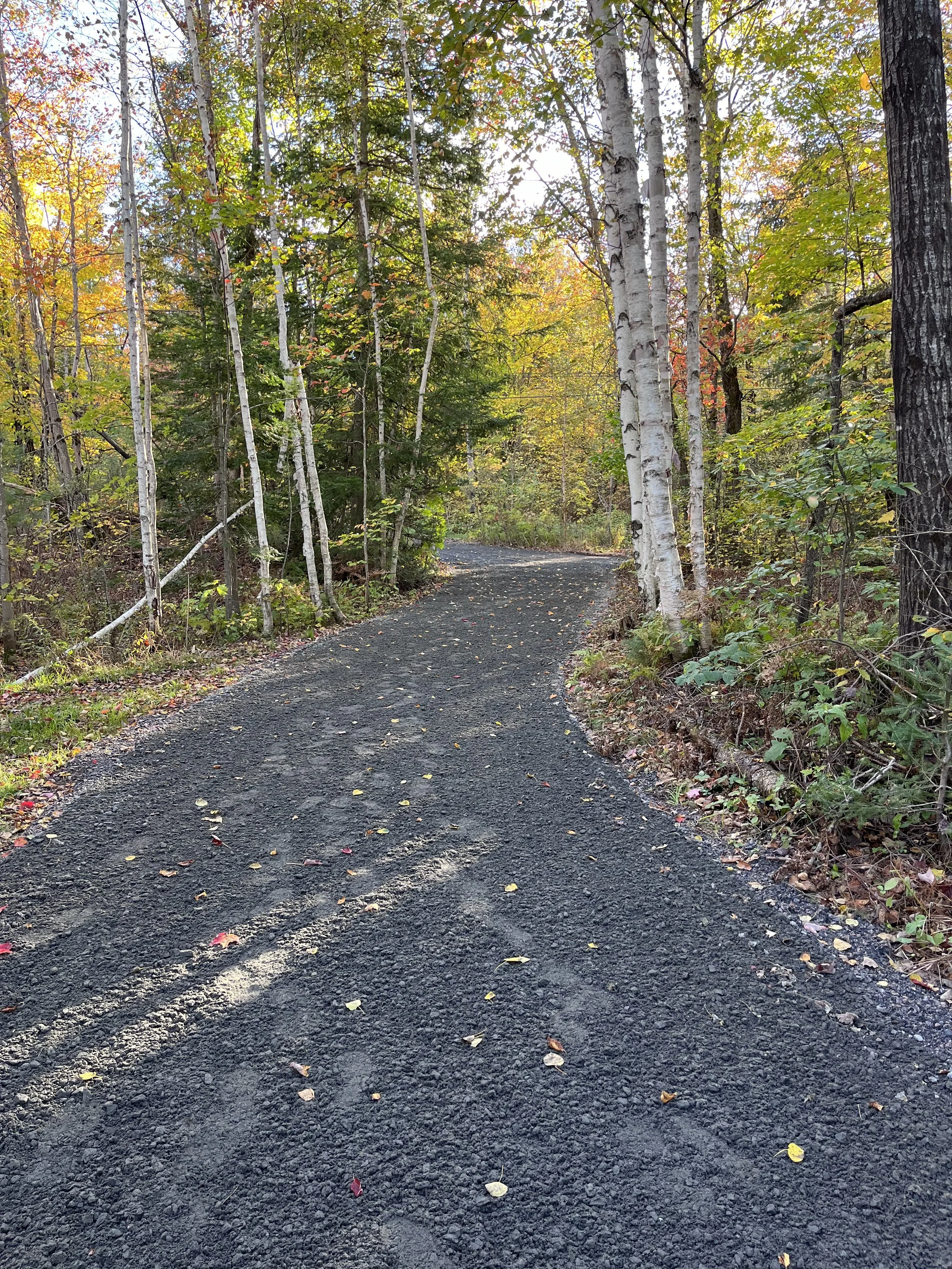 COTTAGE DRIVE GRADING.jpg