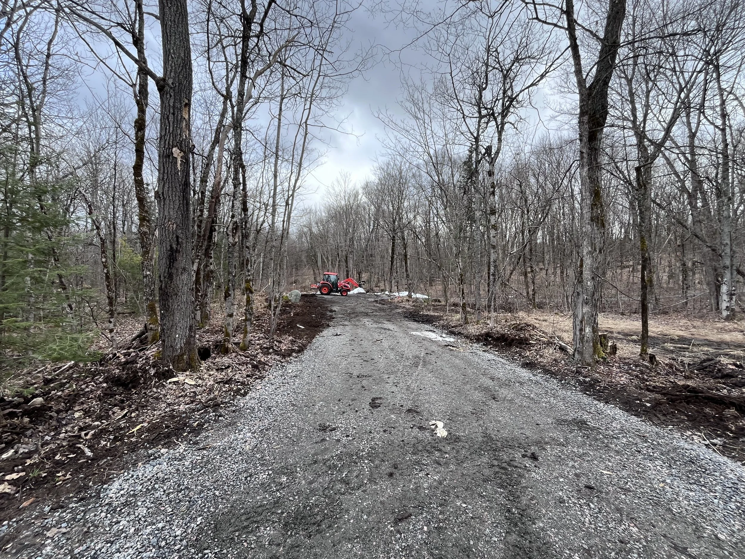 PROPERTY CLEARING.jpg