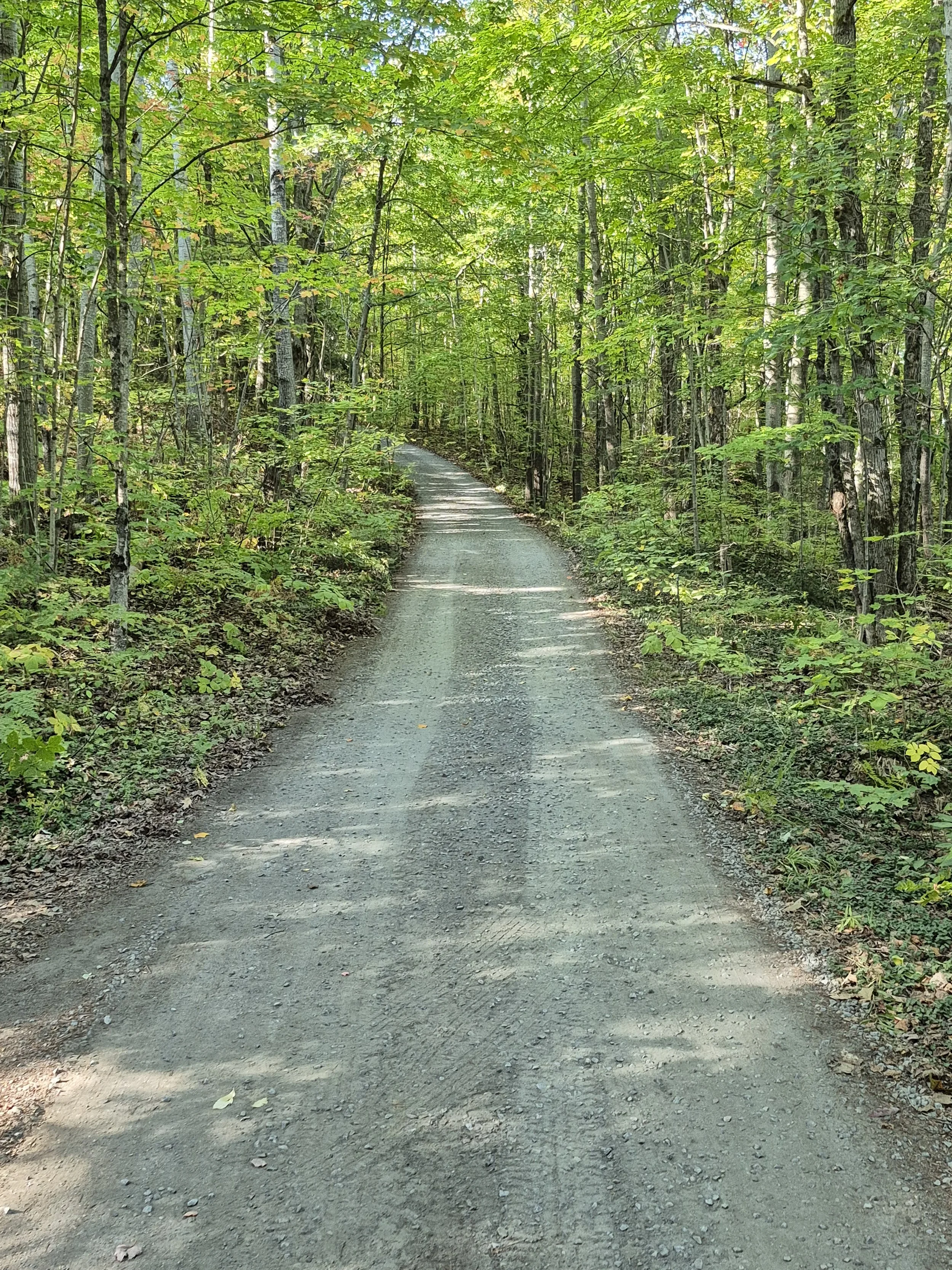 LAKE OF BAYS PRIVATE ROAD RESURFACING.jpg